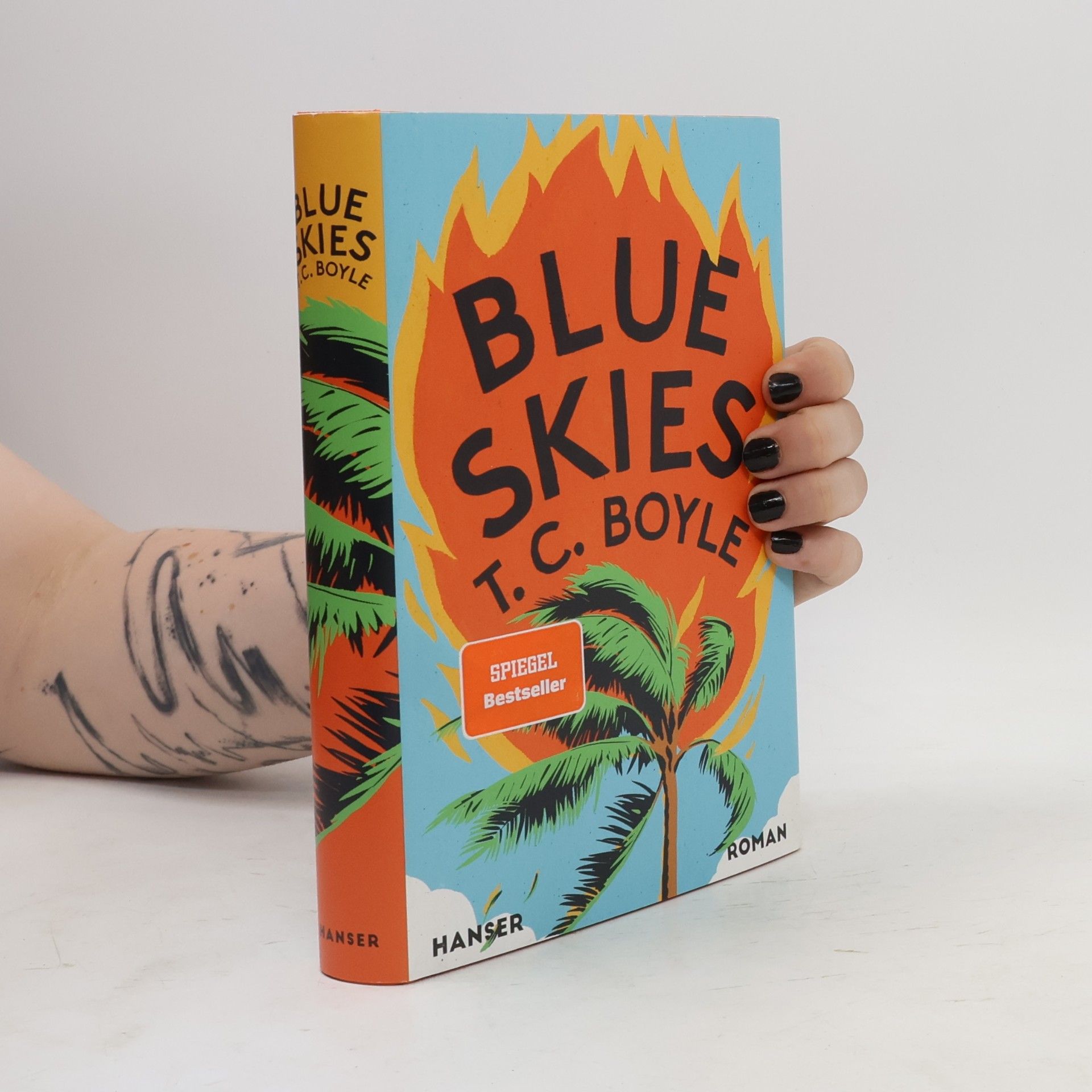 Tom Coraghessan Boyle Blue Skies