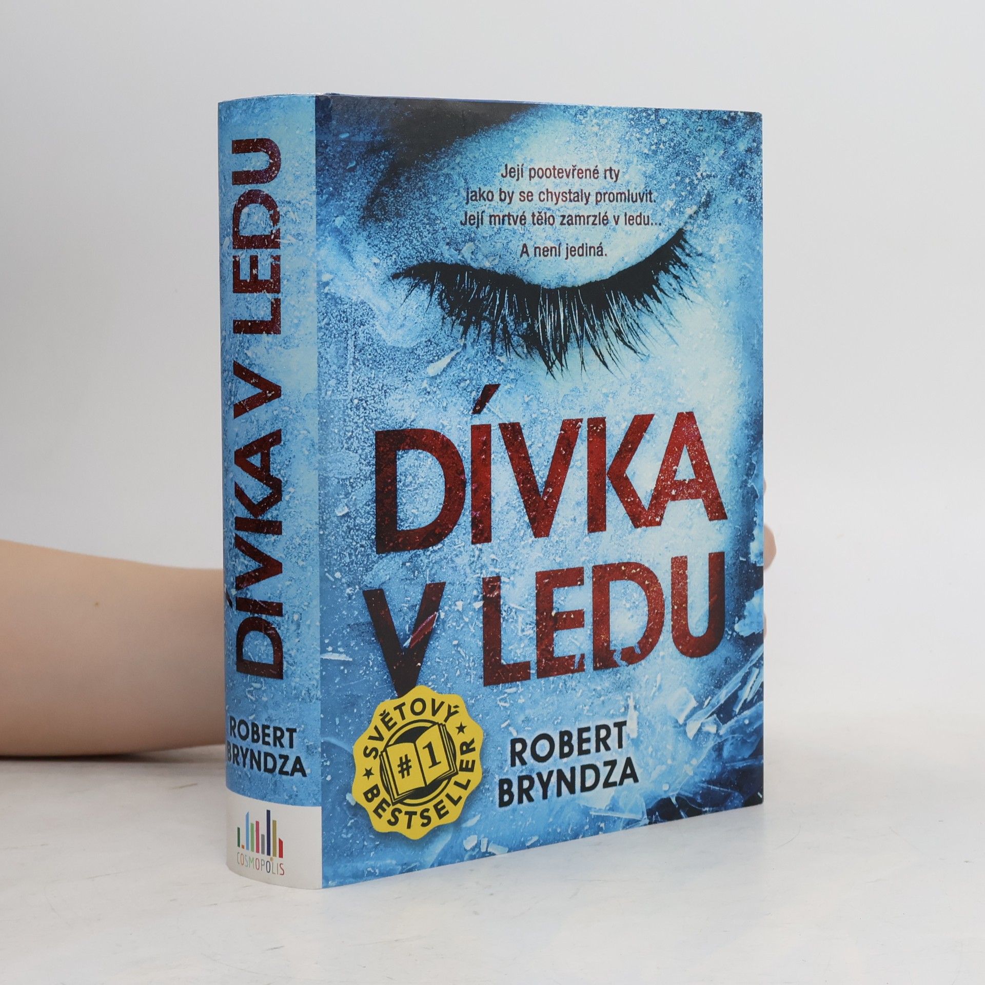 Robert Bryndza Dívka v ledu