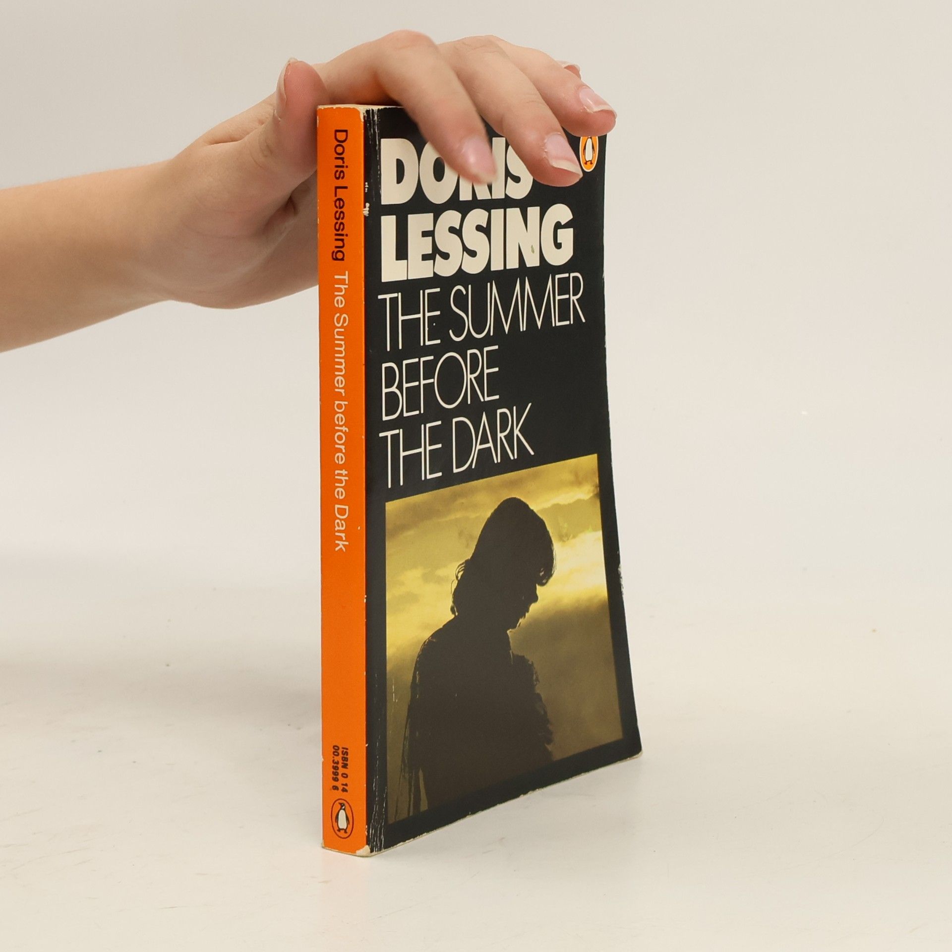 Doris Lessing The Summer before the Dark