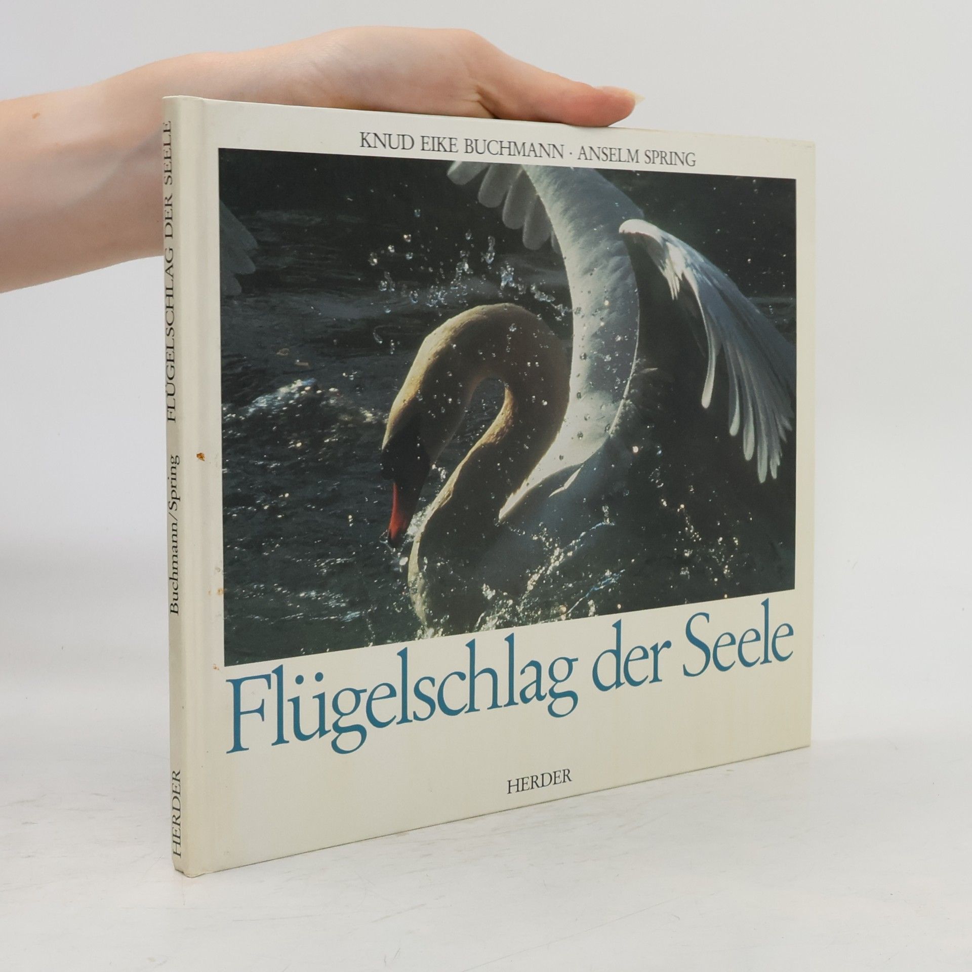 Autorenkollektiv Flügelschlag der Seele