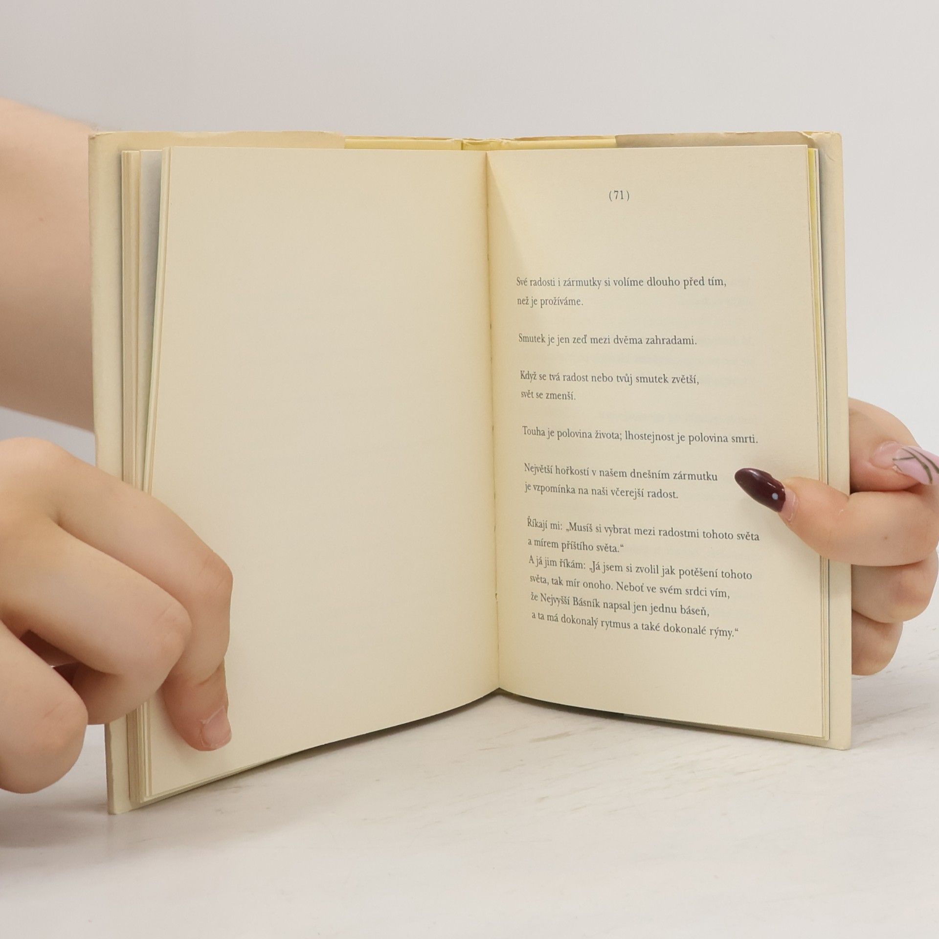 Kahlil Gibran Písek a pěna