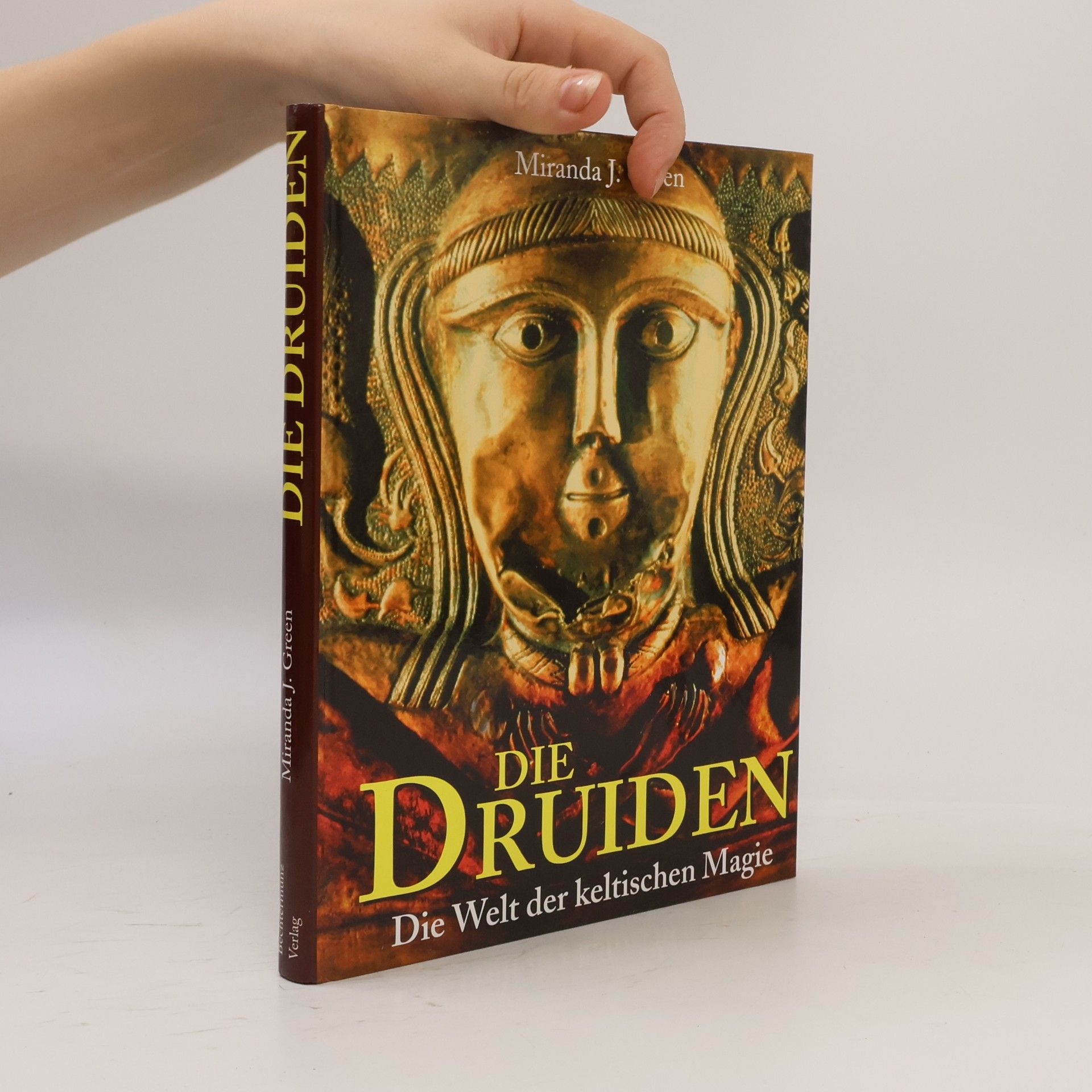 Miranda Aldhouse-Green Die Druiden