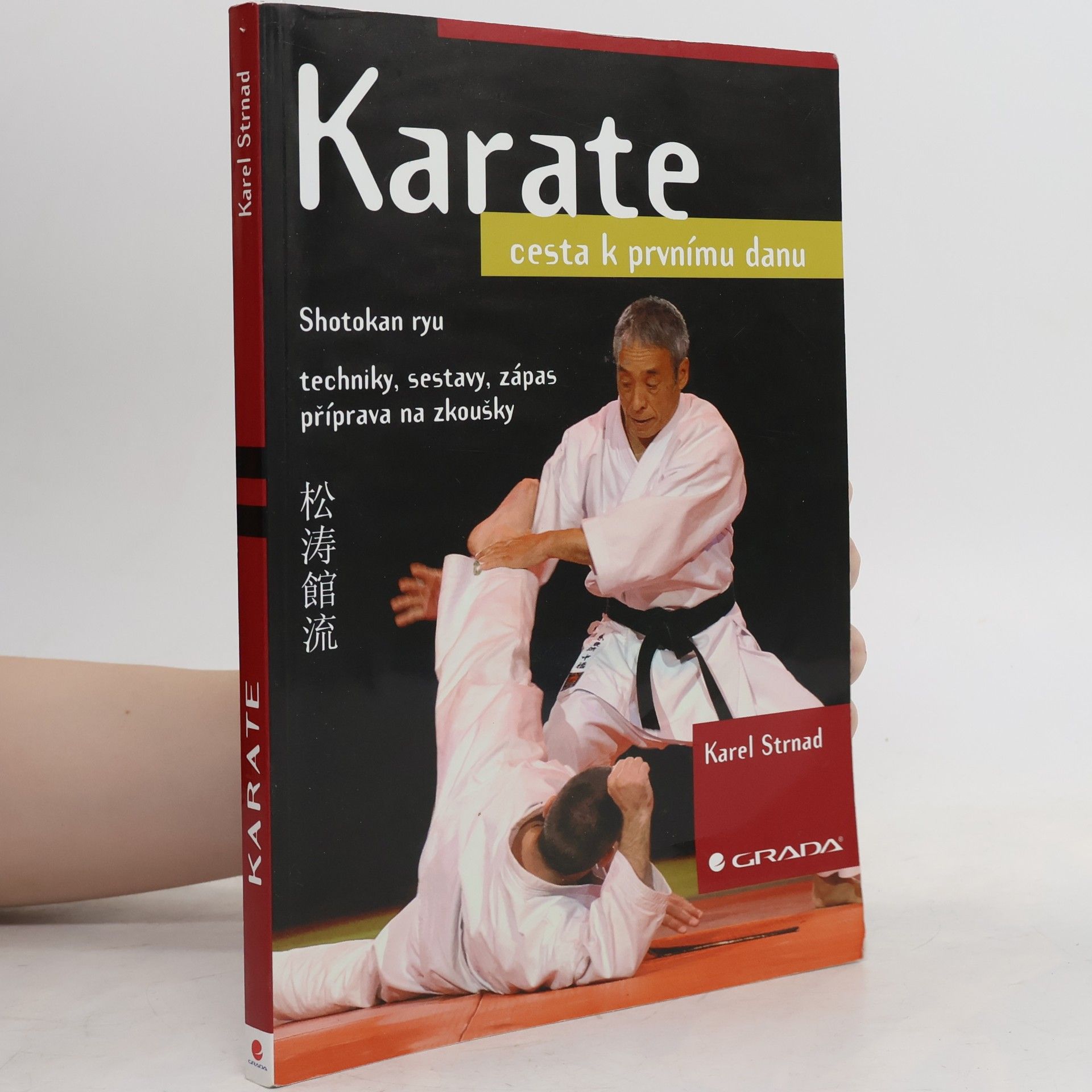 Karel Strnad Karate. Cesta k prvnímu danu