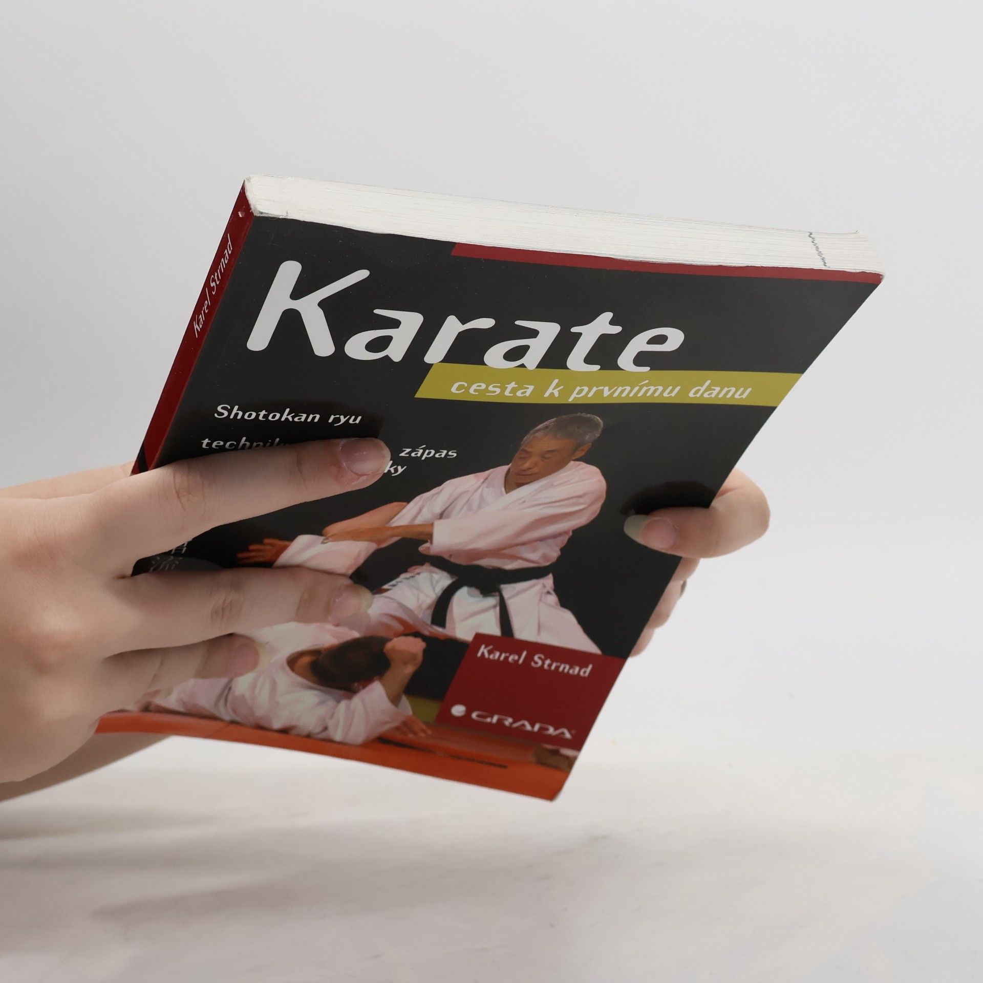 Karel Strnad Karate. Cesta k prvnímu danu