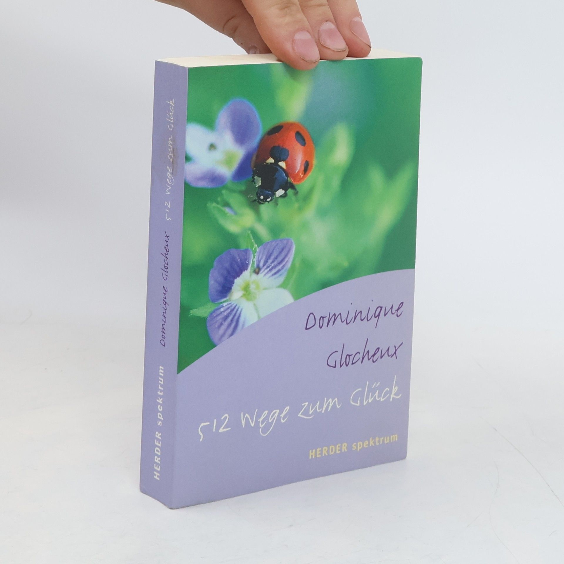 Dominique Glocheux 512 Wege zum Glück