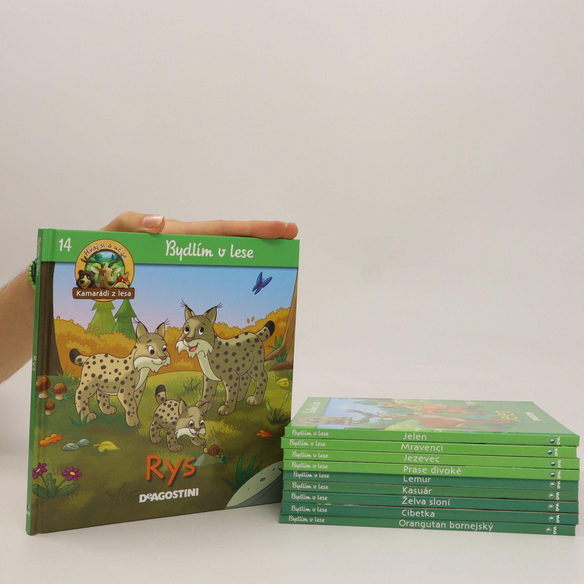 Kolektiv autorů Bydlím v lese 10x