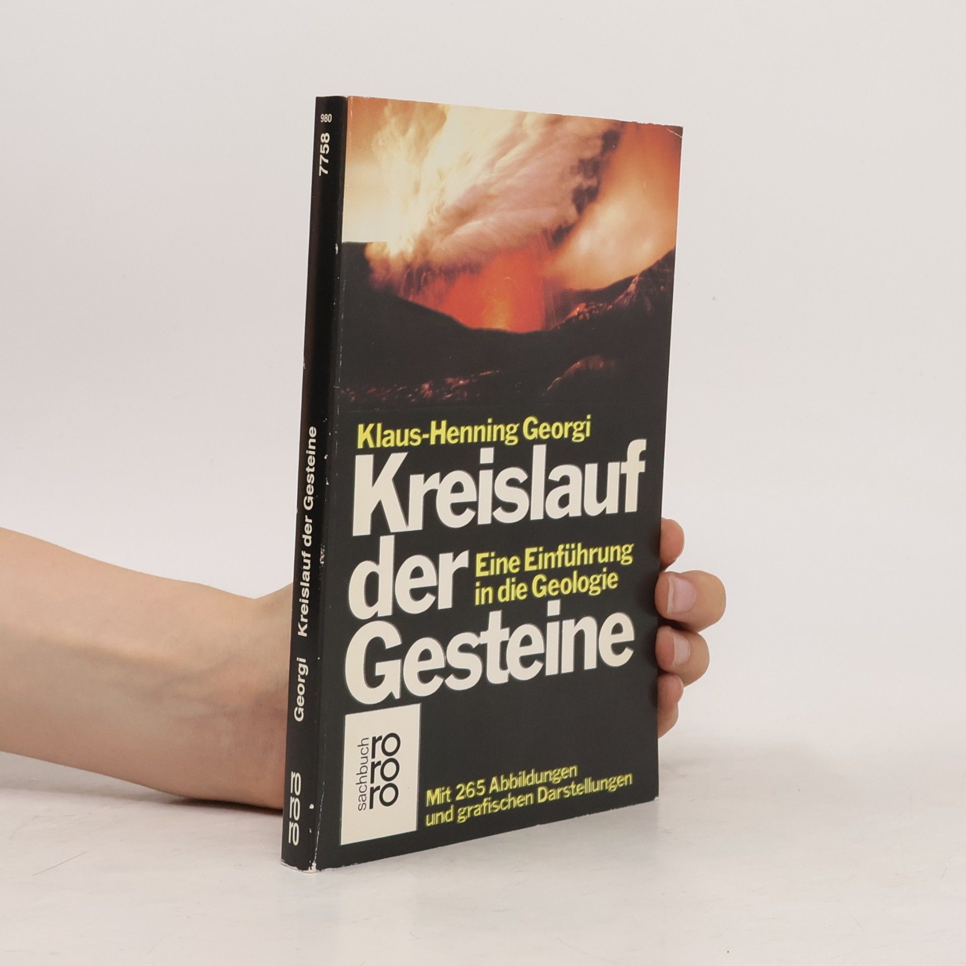 Klaus Henning Georgi Kreislauf der Gesteine