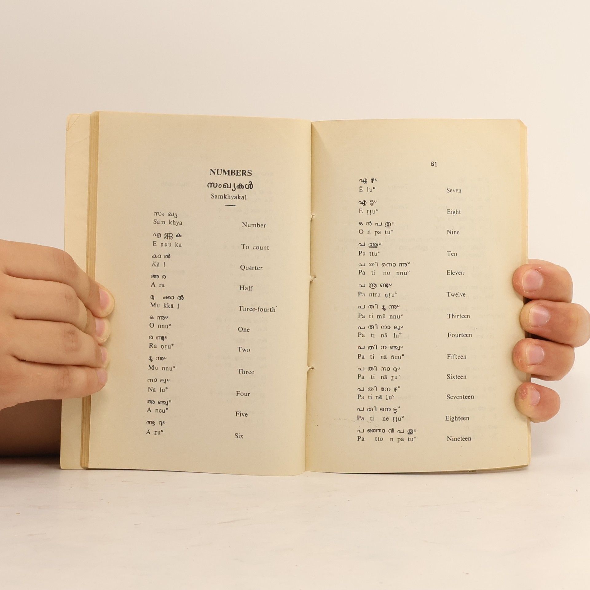 Kolektiv autorů Learn Malayalam in 30 days