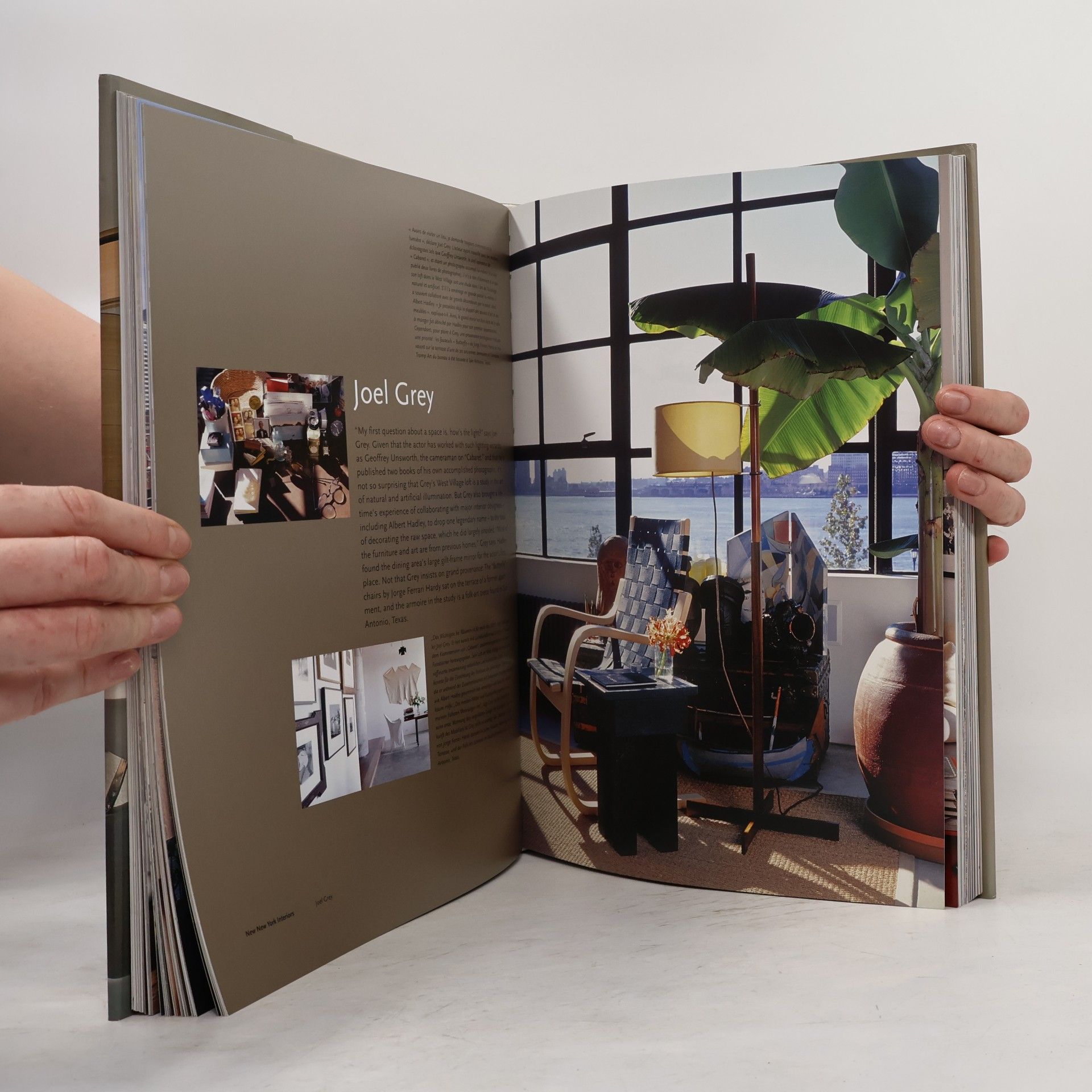 Angelika Taschen New New York interiors