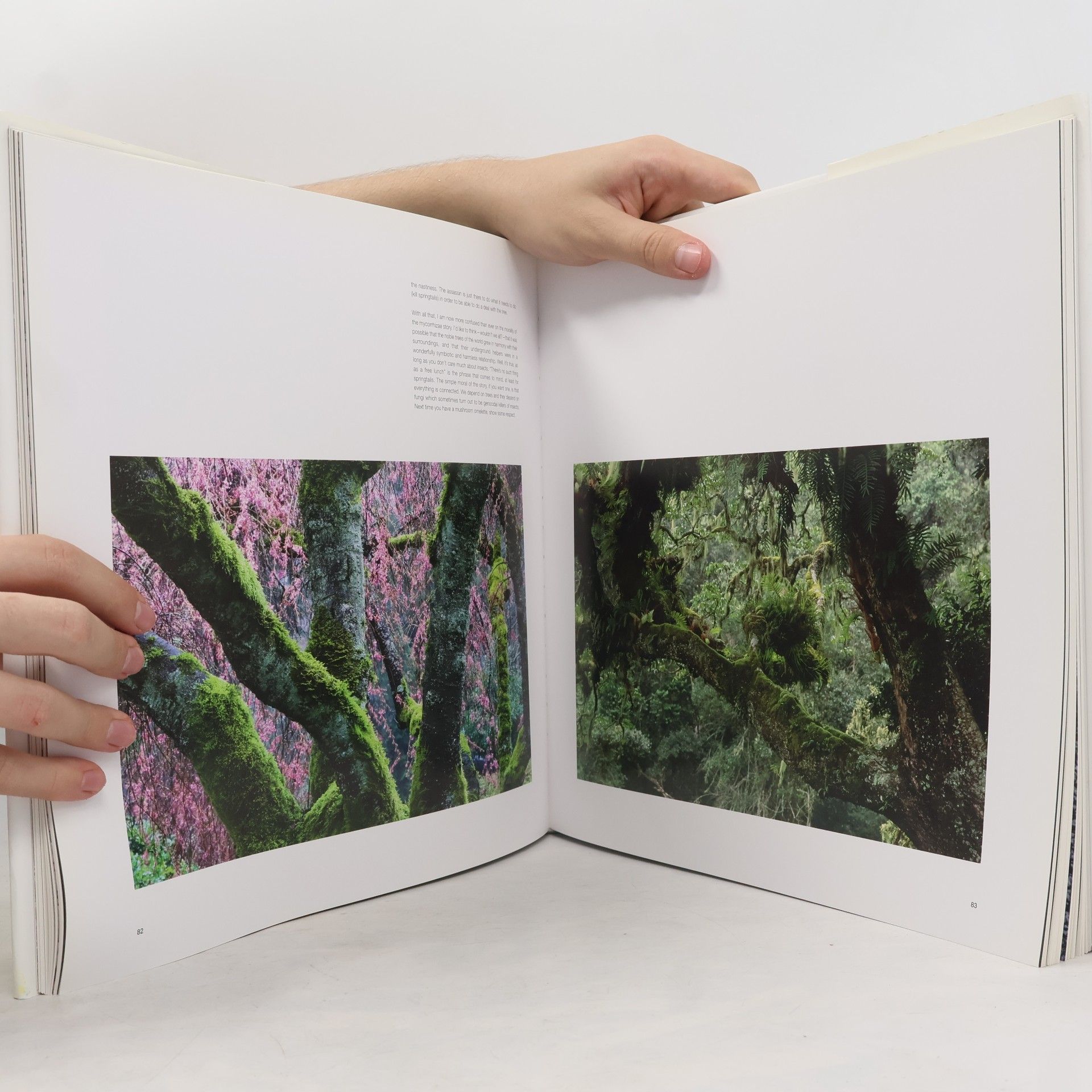 Lewis Blackwell The Life & Love of Trees