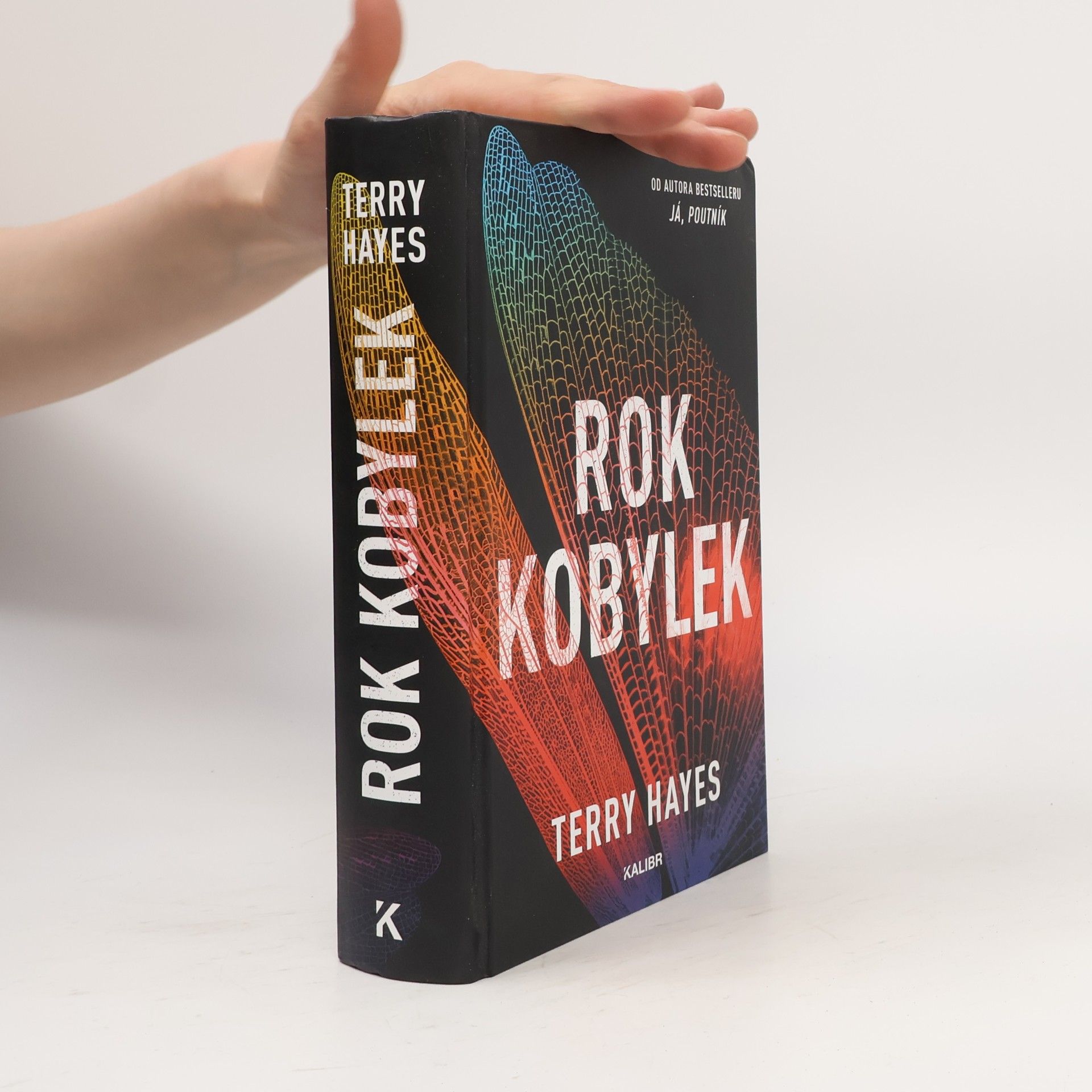Terry Hayes Rok kobylek
