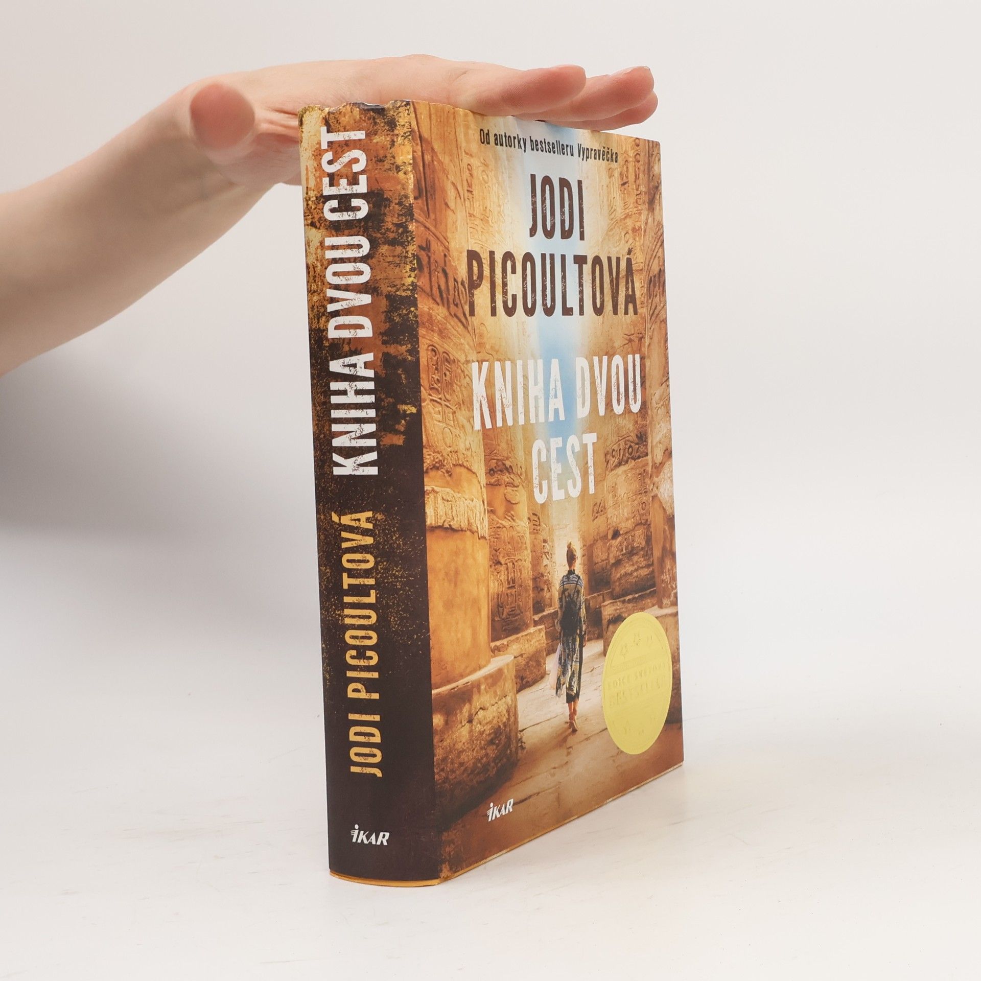 Jodi Picoult Kniha dvou cest