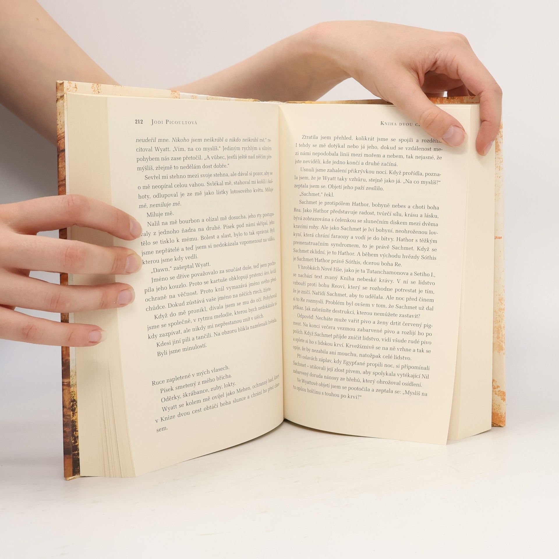 Jodi Picoult Kniha dvou cest