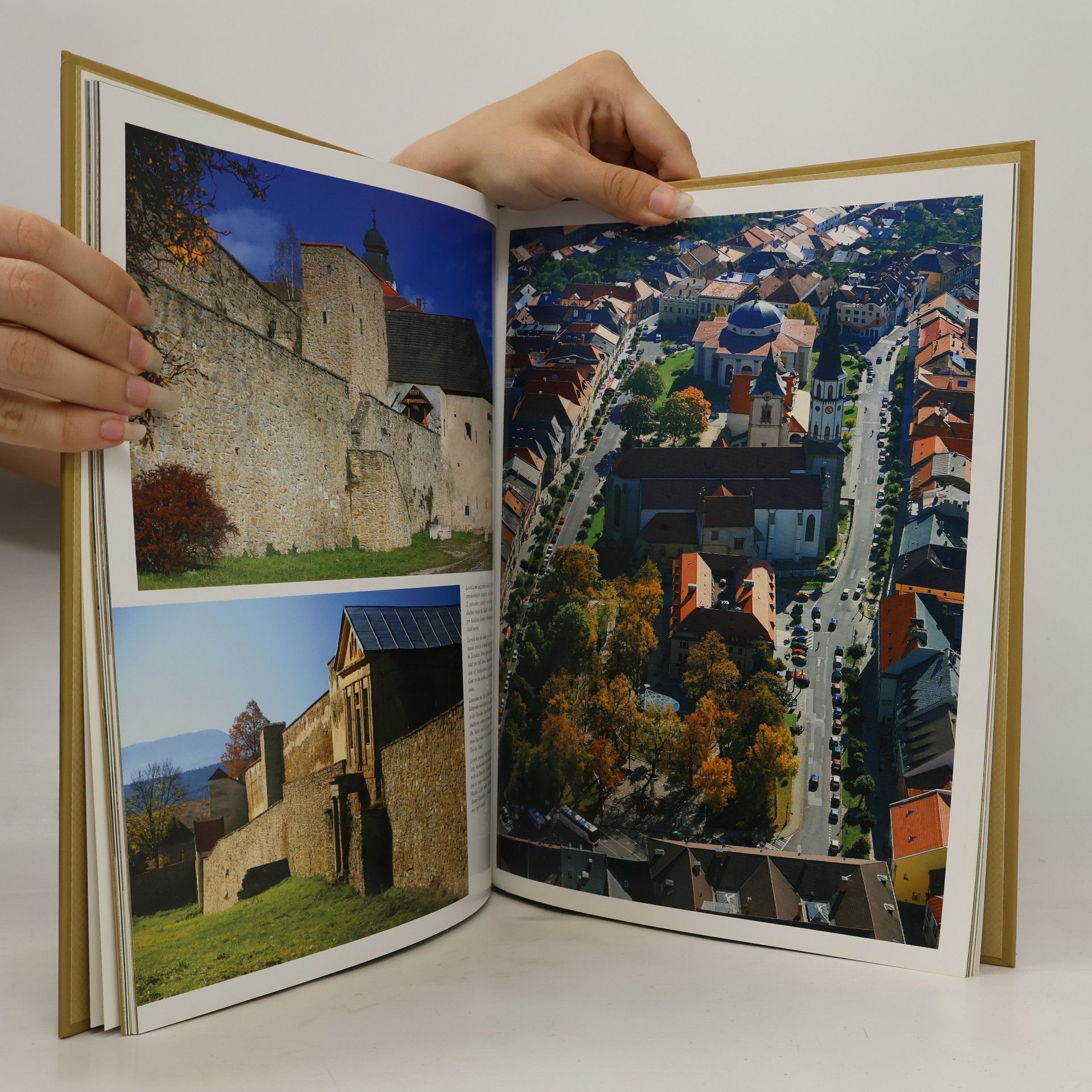 AA.VV. Slovenské kráľovské mestá. Bardejov, Kežmarok, Levoča, Stará Ľubovňa