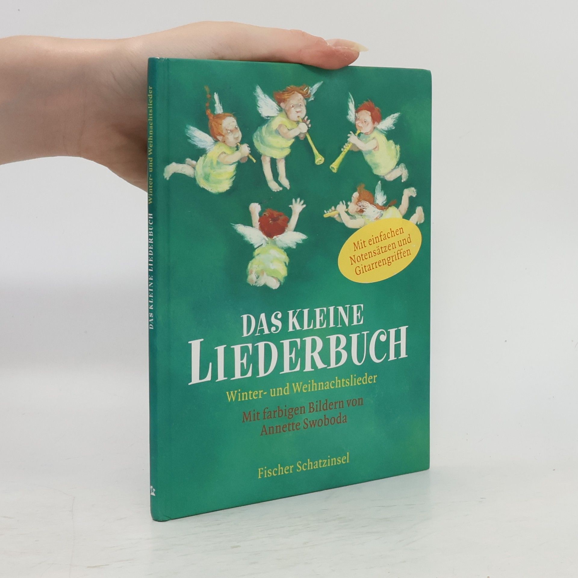 Catrin Frischer Das kleine Liederbuch. Winter- und Weihnachtslieder