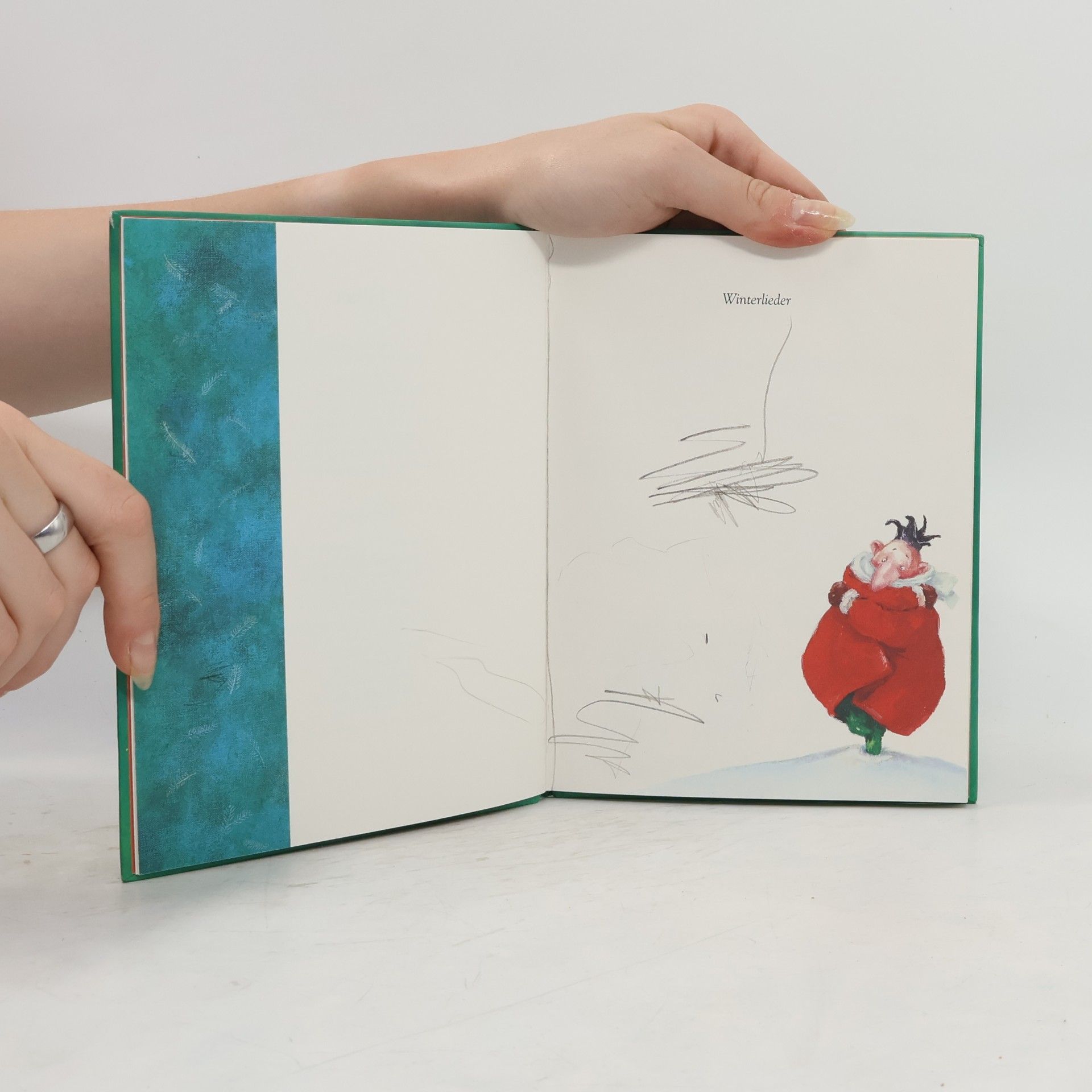Catrin Frischer Das kleine Liederbuch. Winter- und Weihnachtslieder