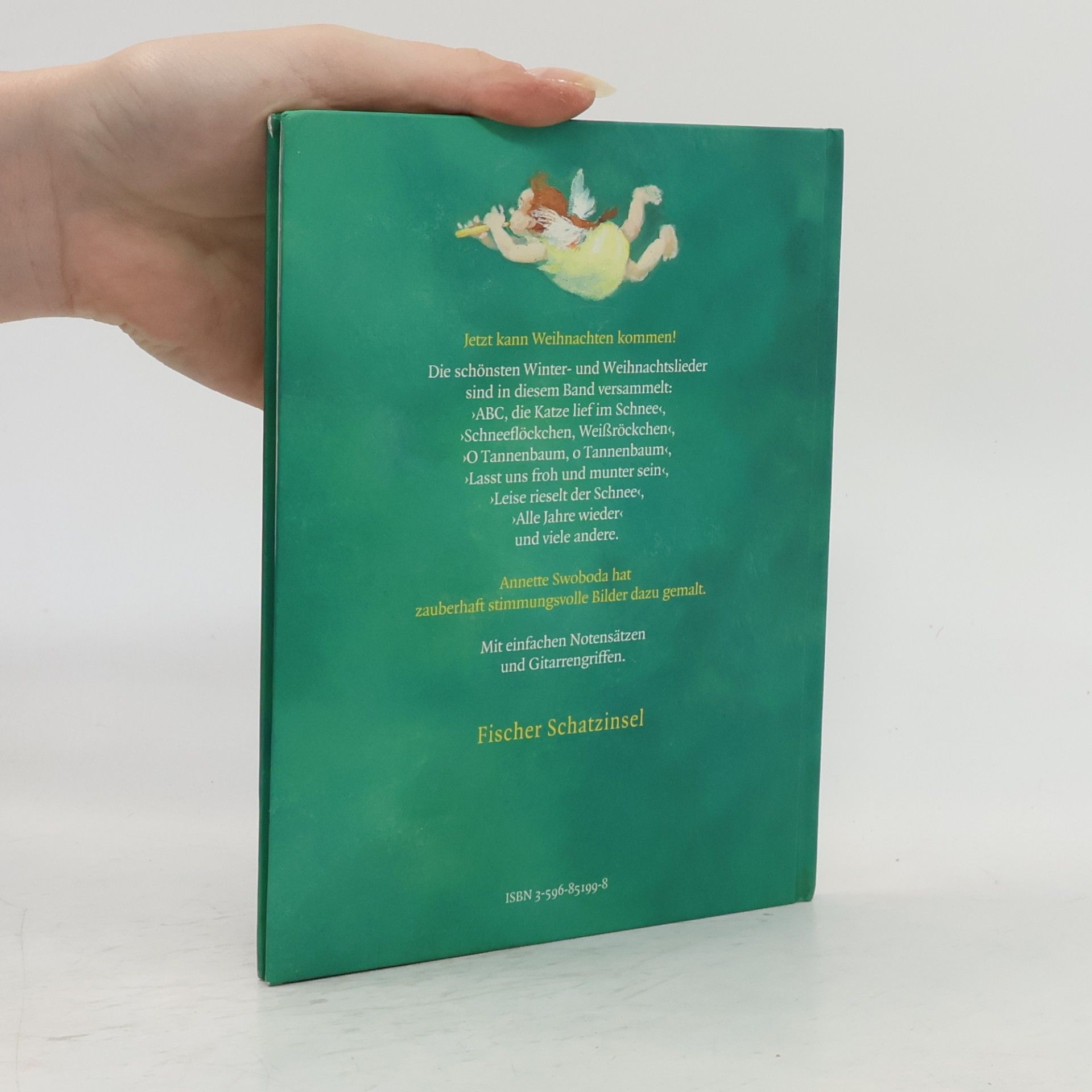 Catrin Frischer Das kleine Liederbuch. Winter- und Weihnachtslieder