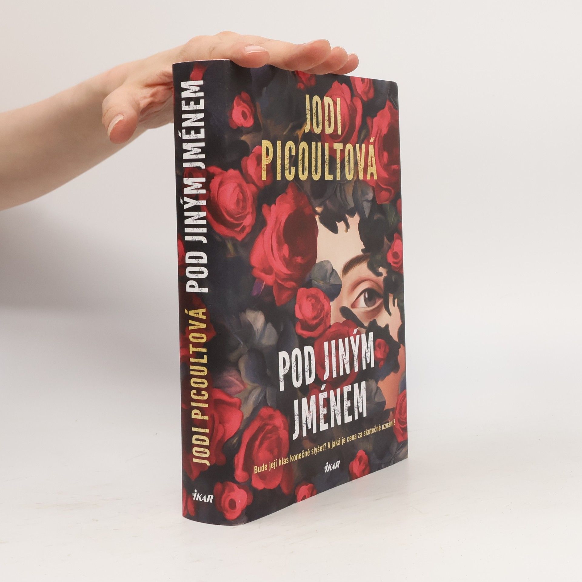 Jodi Picoult Pod jiným jménem
