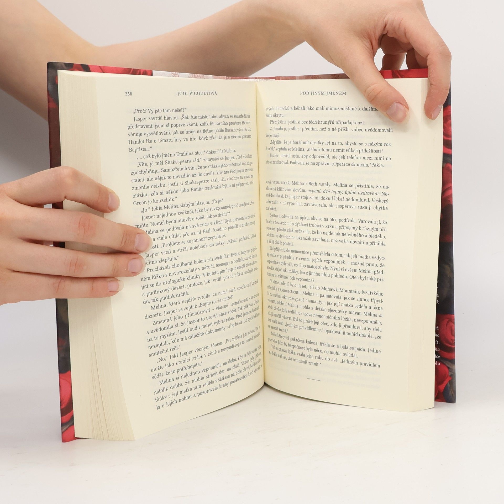 Jodi Picoult Pod jiným jménem