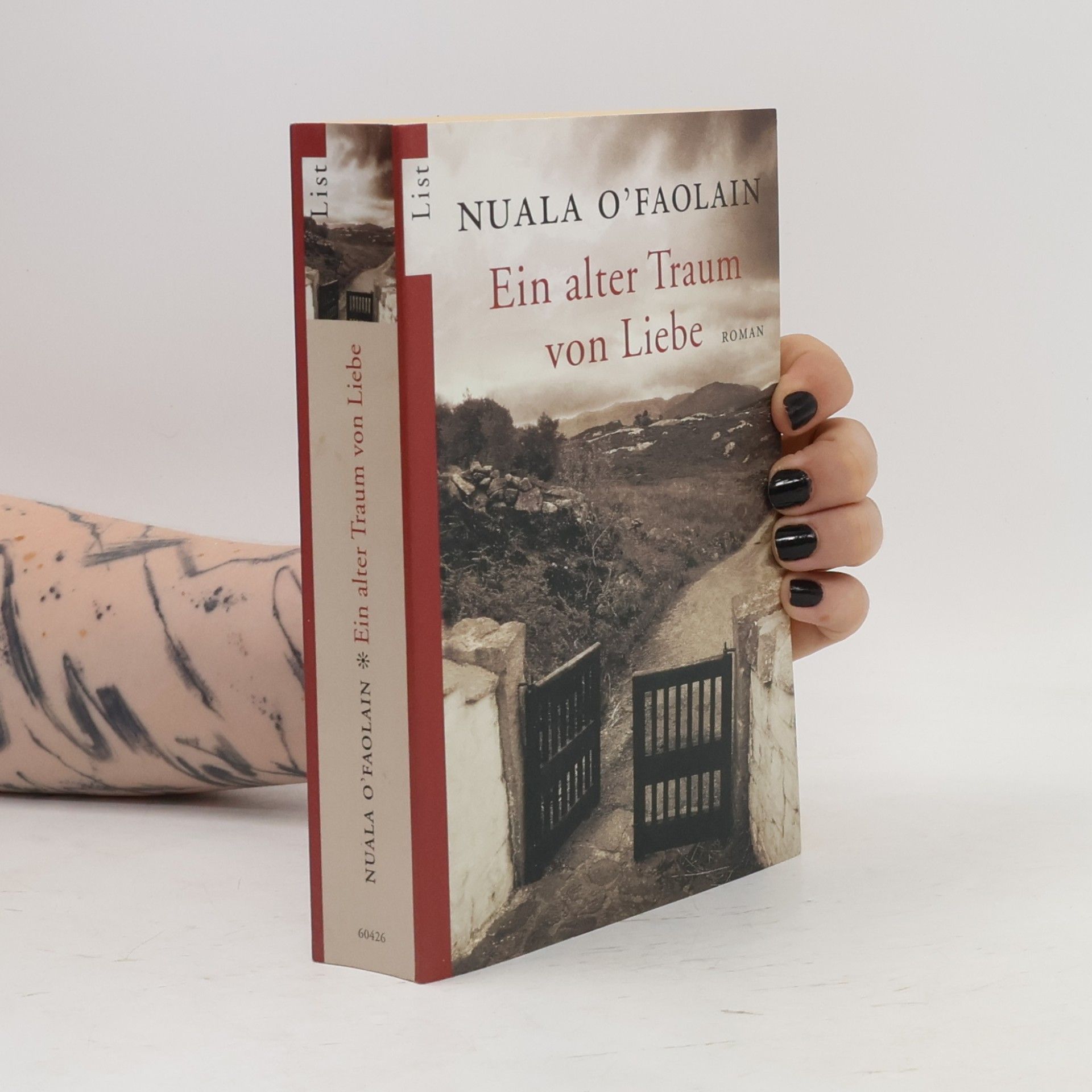 Nuala O. Faolain Ein alter Traum von Liebe