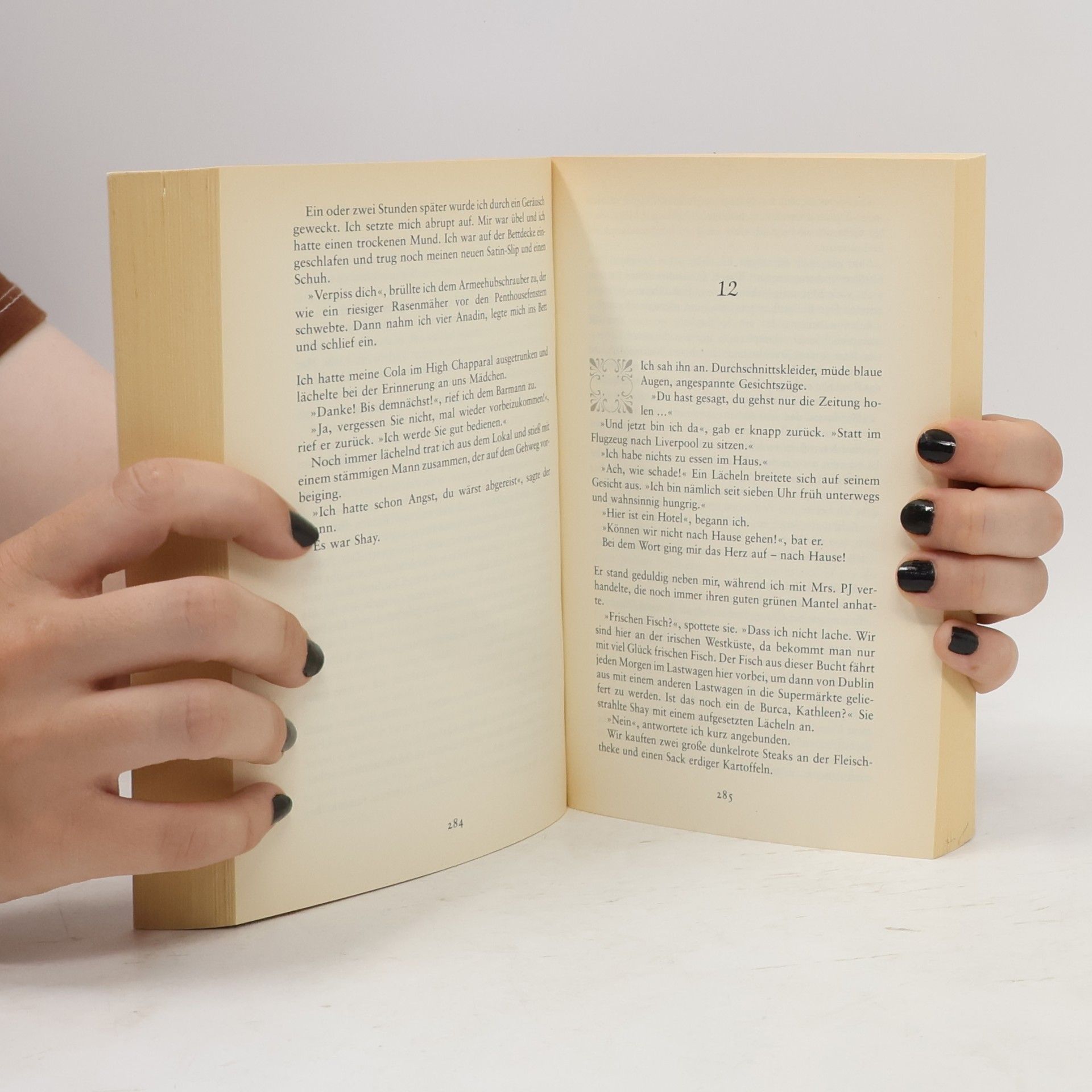 Nuala O. Faolain Ein alter Traum von Liebe