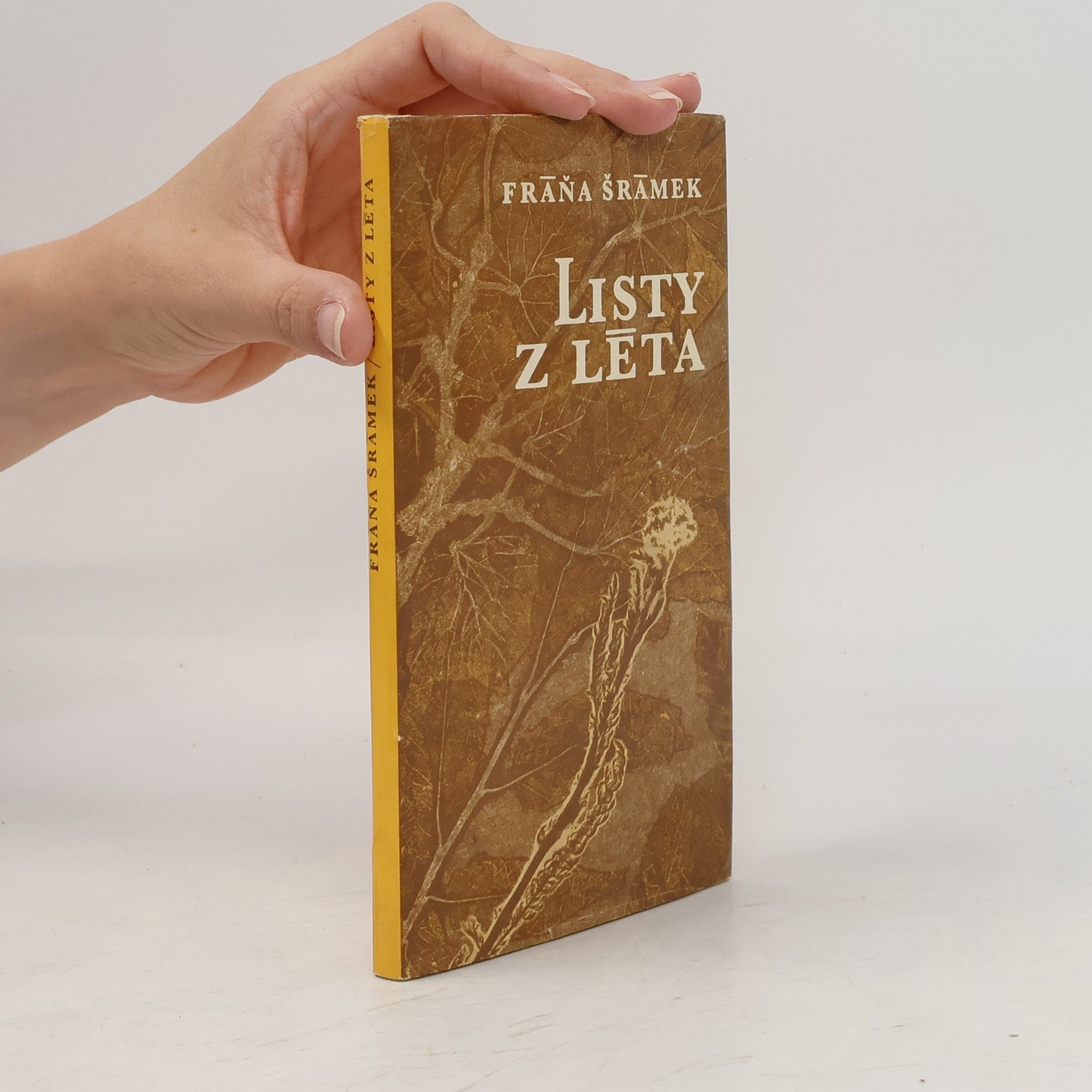 Václav Hejn Listy z léta : Výbor z korespondence Miloslavě Hradličkové-Šrámkové
