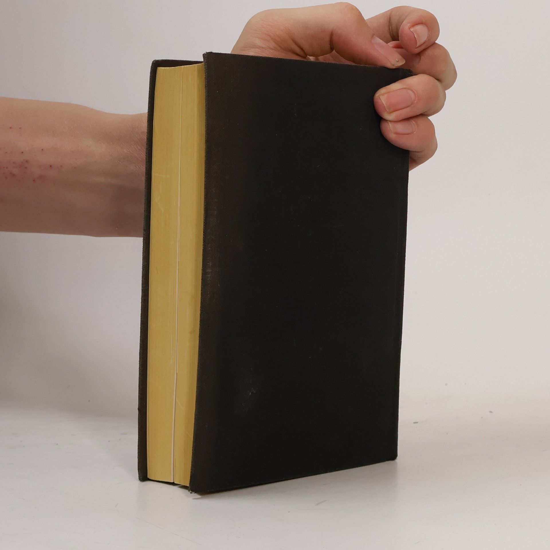 Autorenkollektiv Die Heilige Schrift des alten und des neuen Testamentes