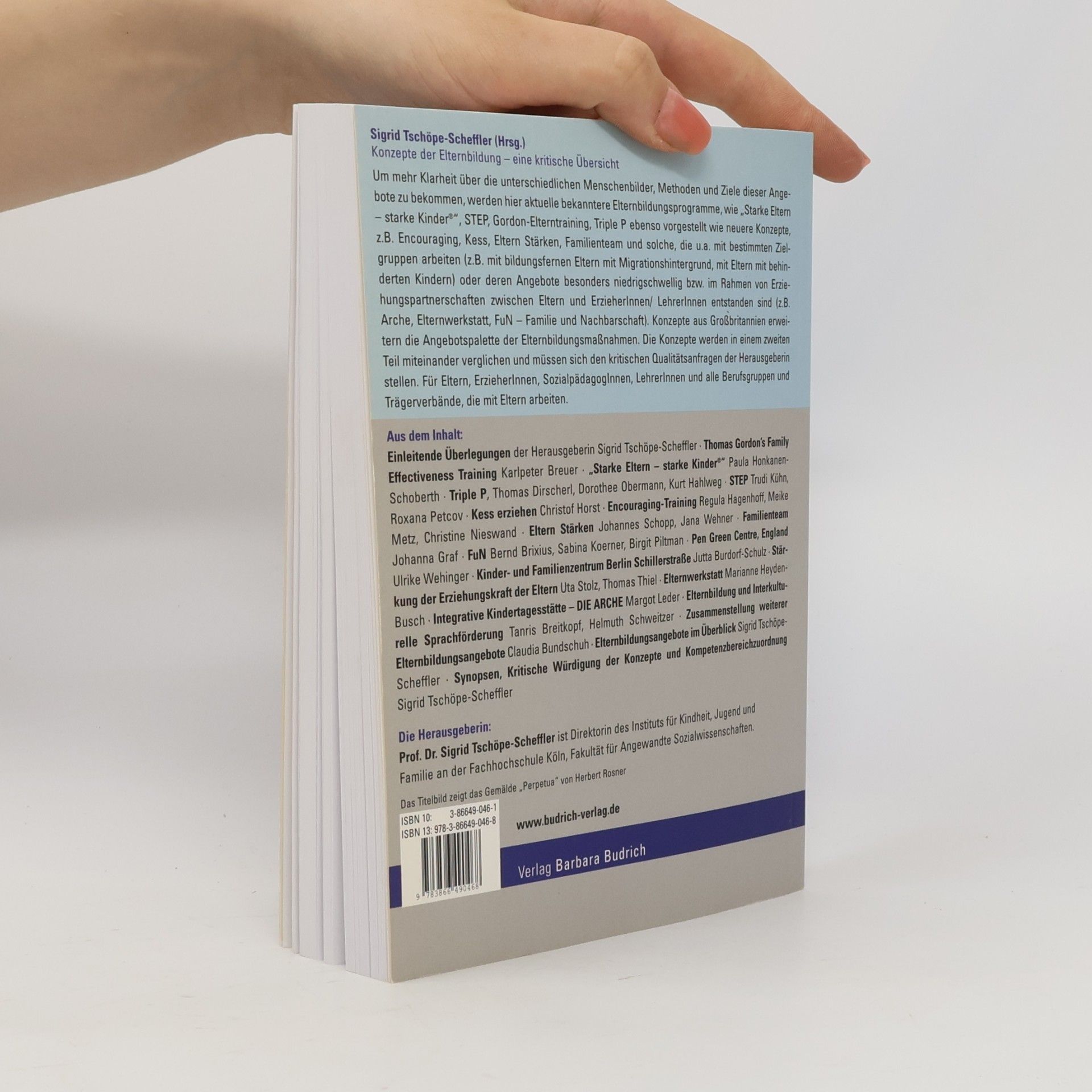 Sigrid Tschöpe-Scheffler Konzepte der Elternbildung - 2., durchgesehene Auflage
