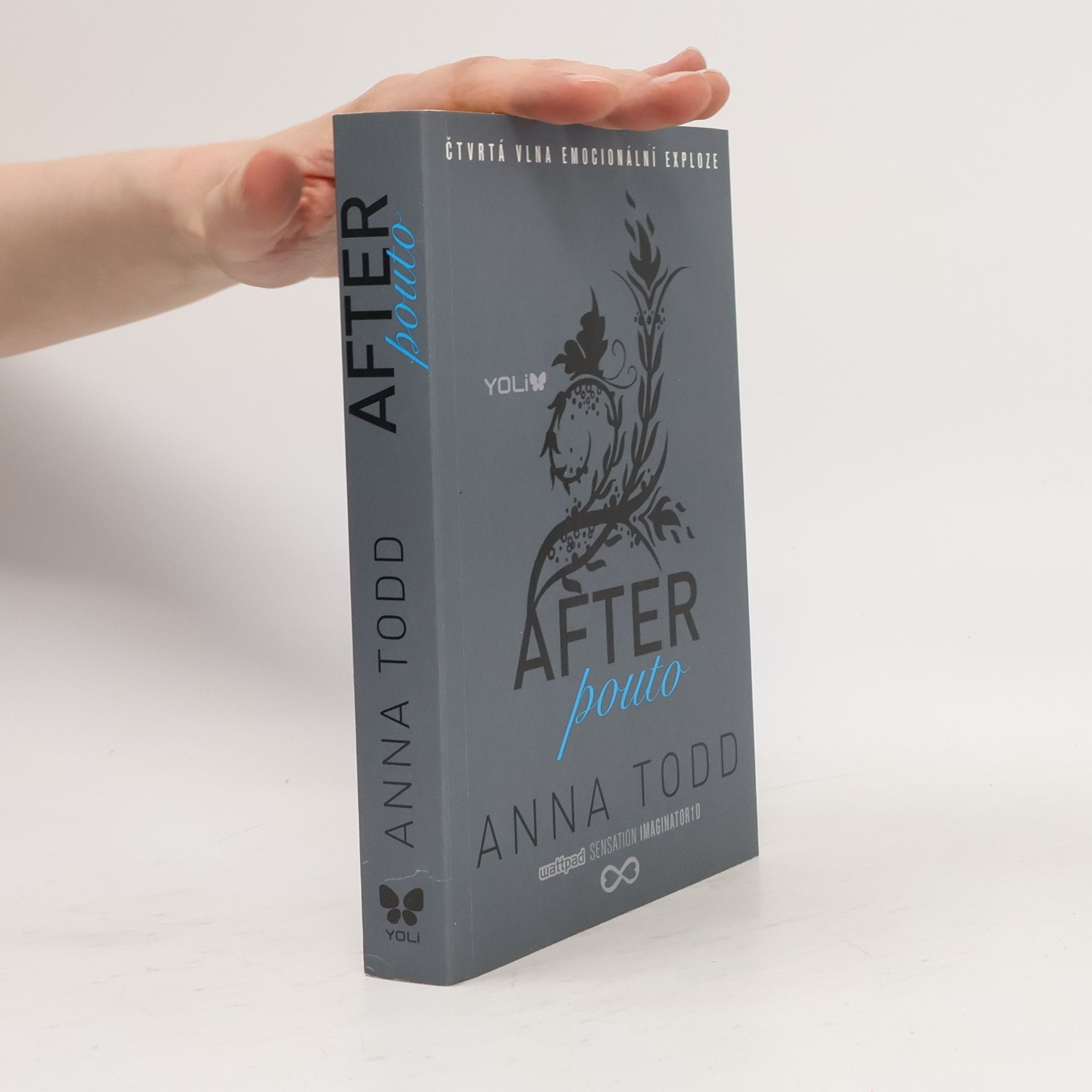 Anna Todd After. Pouto