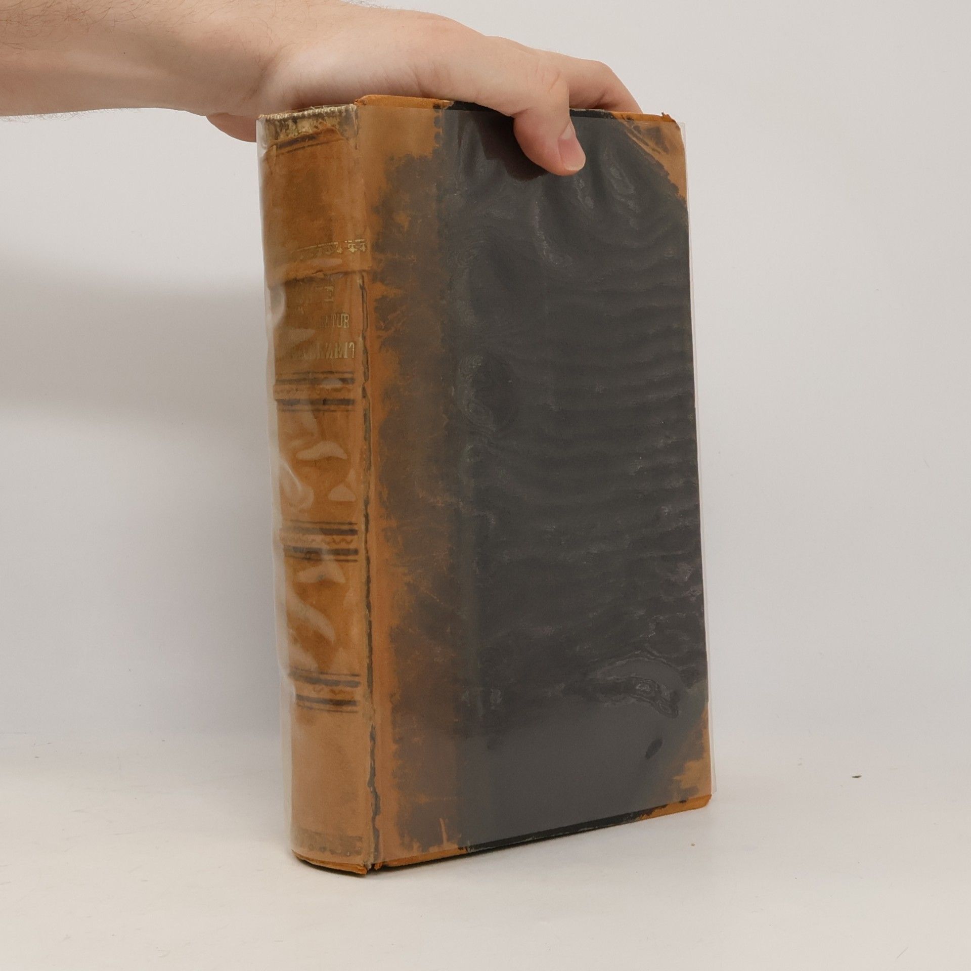 Franz Susemihl Geschichte der griechischen Litteratur in der Alexandrinerzeit 2