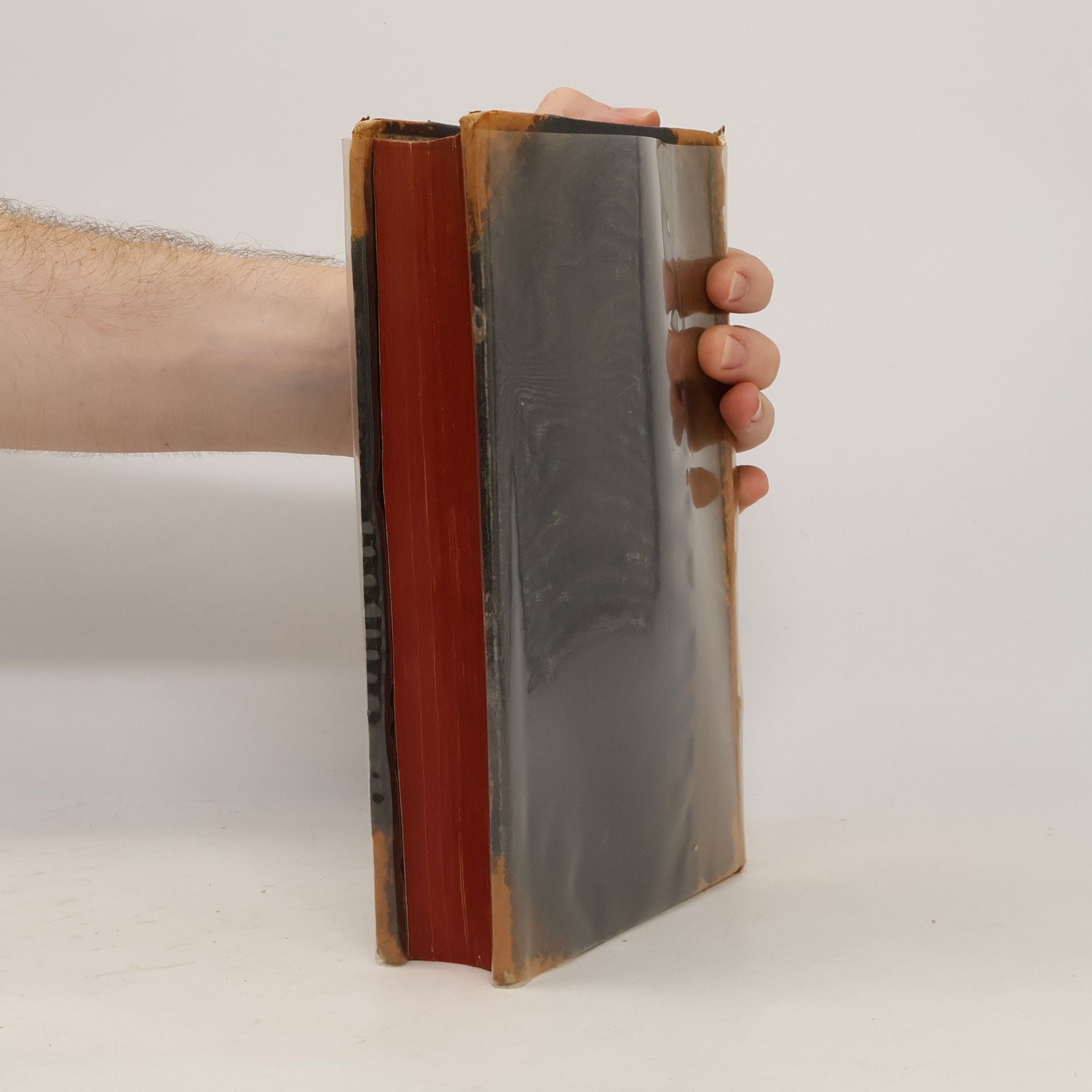 Franz Susemihl Geschichte der griechischen Litteratur in der Alexandrinerzeit 2