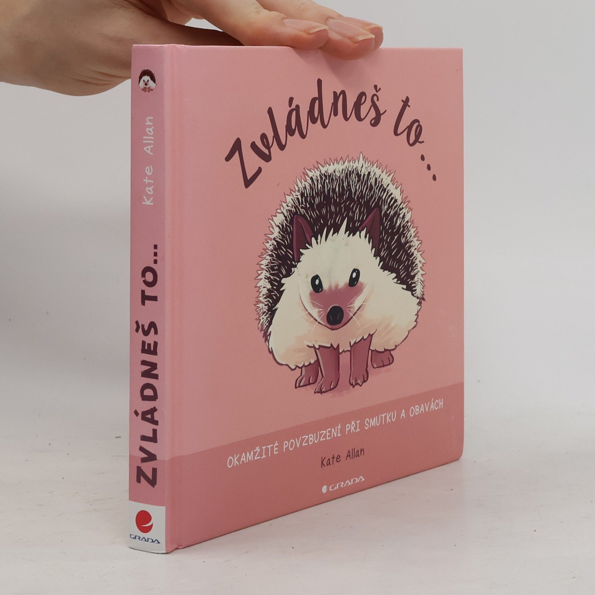 Kate Allan Zvládneš to... Okamžité povzbuzení při smutku a obavách