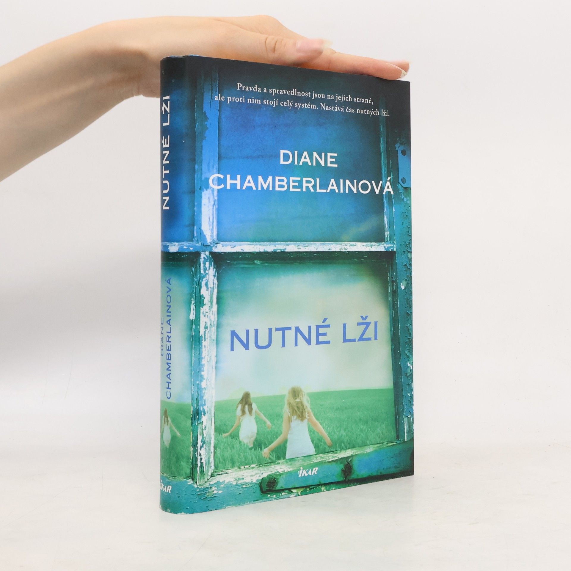 Diane Chamberlain Nutné lži