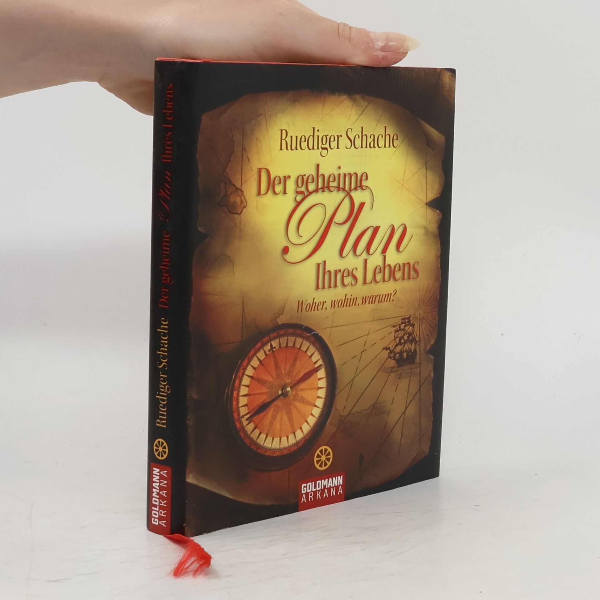 Ruediger Schache Der geheime Plan Ihres Lebens