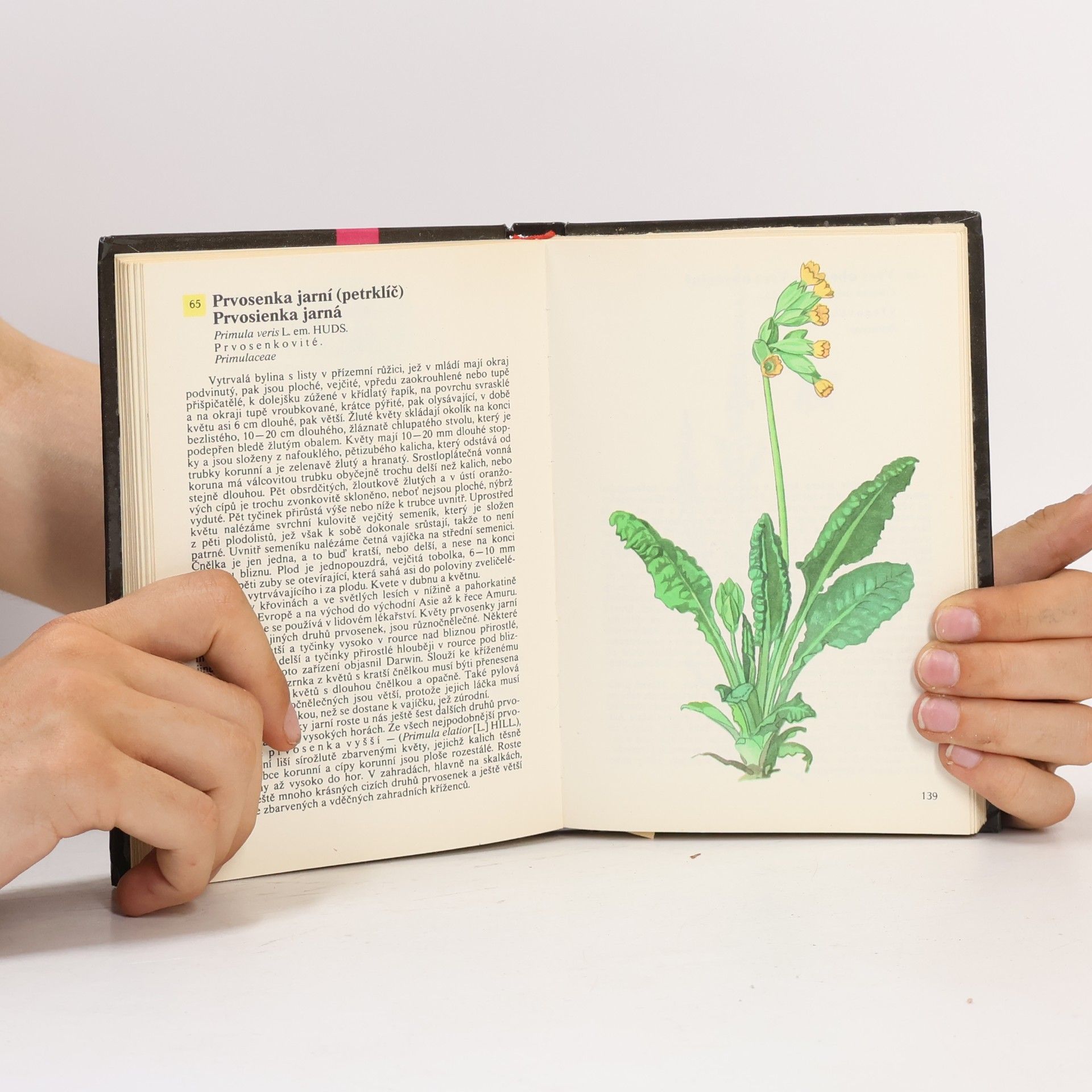 Otto Ušák Kapesní atlas rostlin