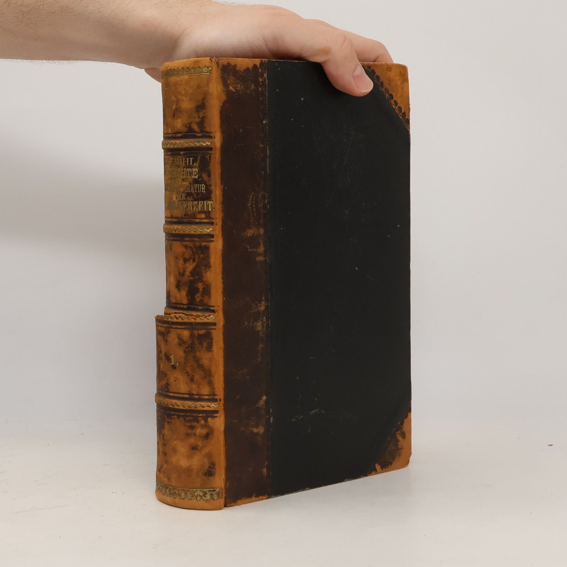 Geschichte der Griechischen Litteratur in der Alexandrinerzeit 1