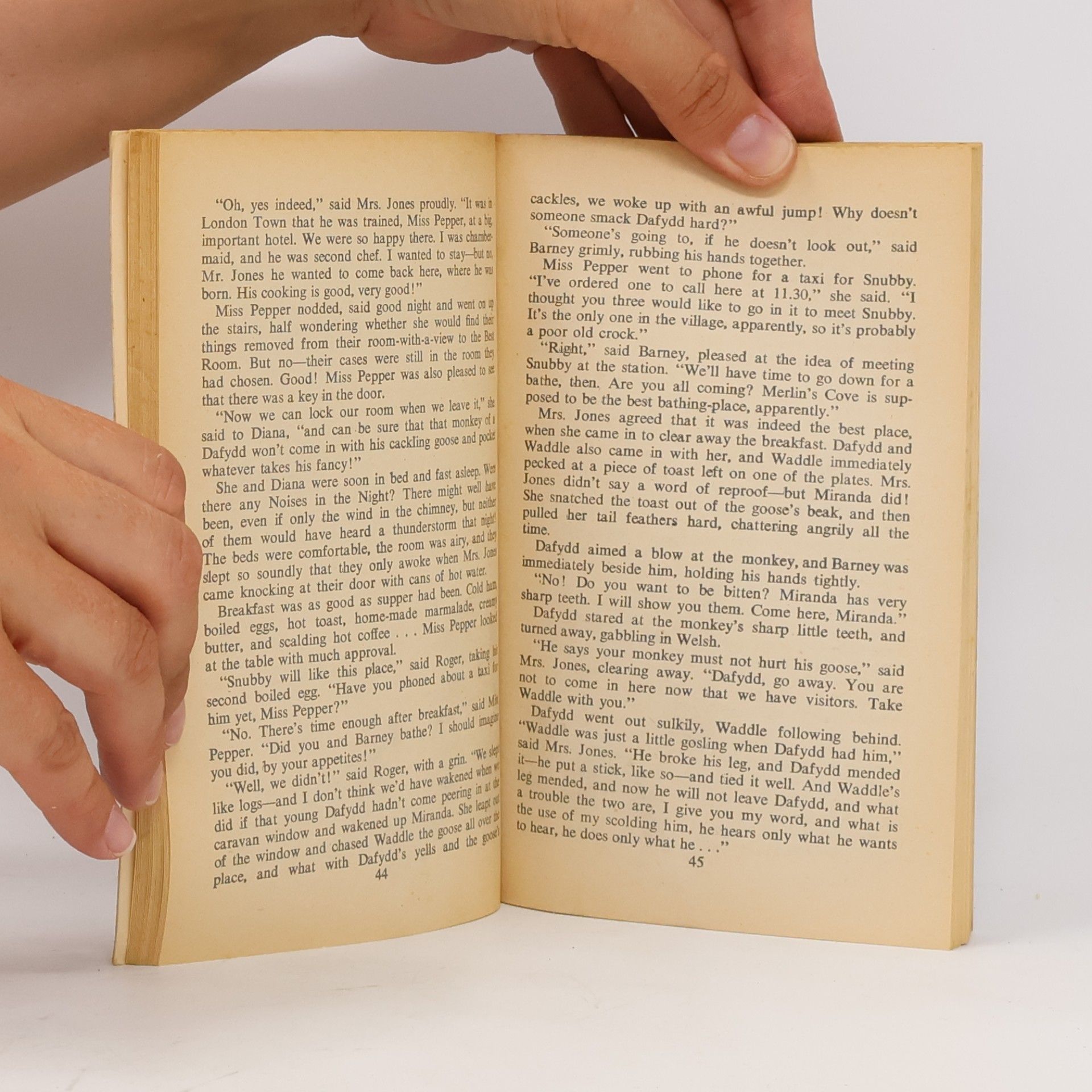 Enid Blyton The Ragamuffin Mystery