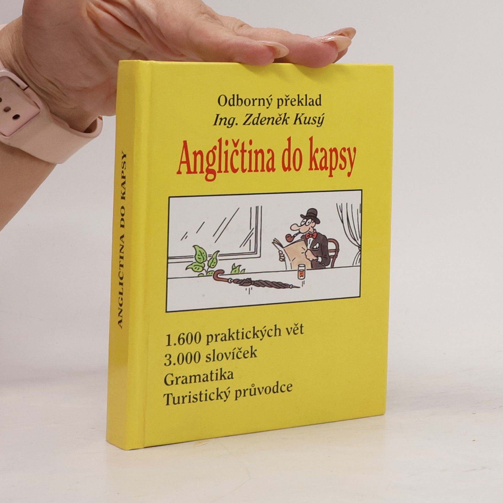 Tomáš Modlík Angličtina do kapsy