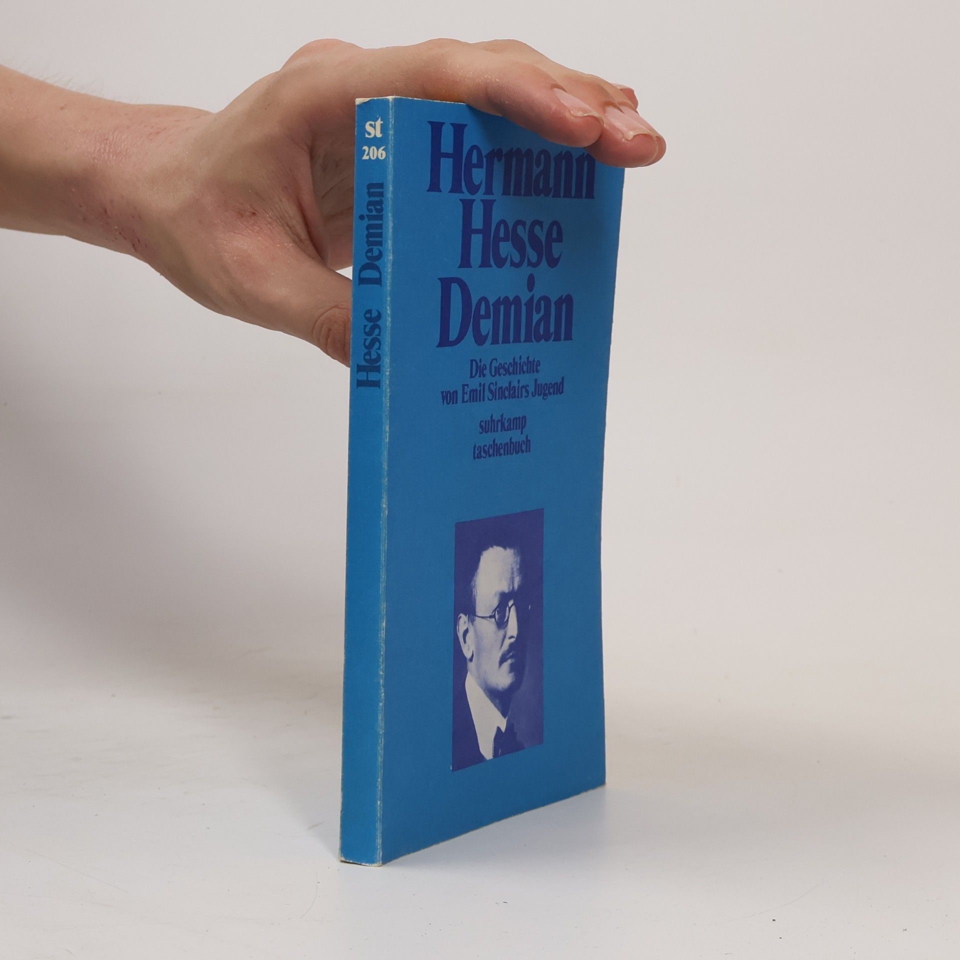 Hermann Hesse Demian : die Geschichte von Emil Sinclairs Jugend