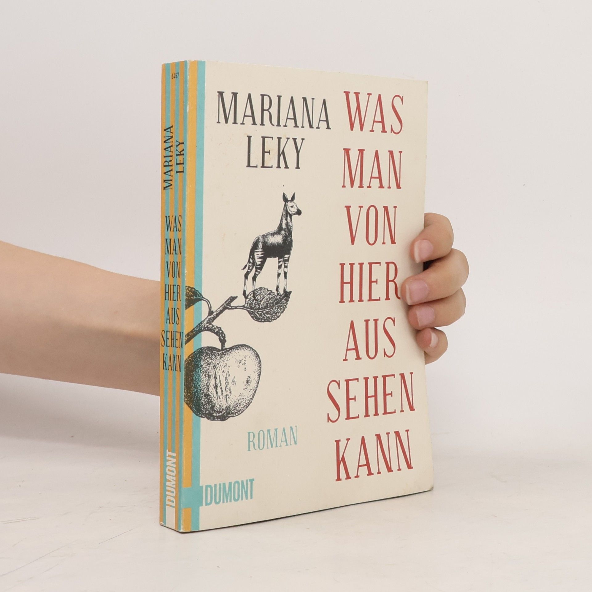 Mariana Leky Was man von hier aus sehen kann