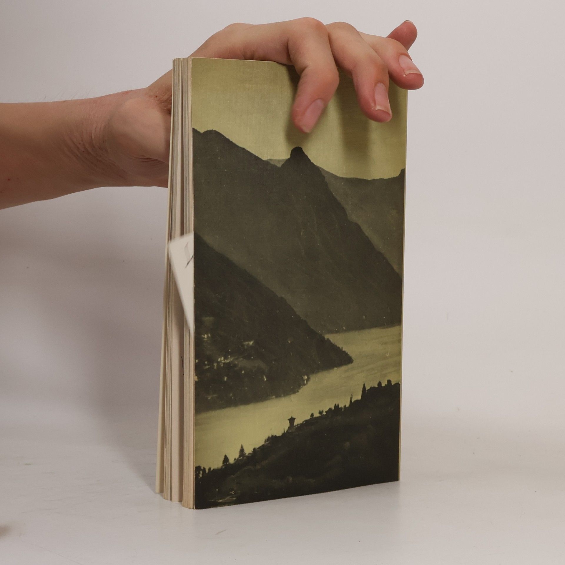 Bernhard Zeller Hermann Hesse