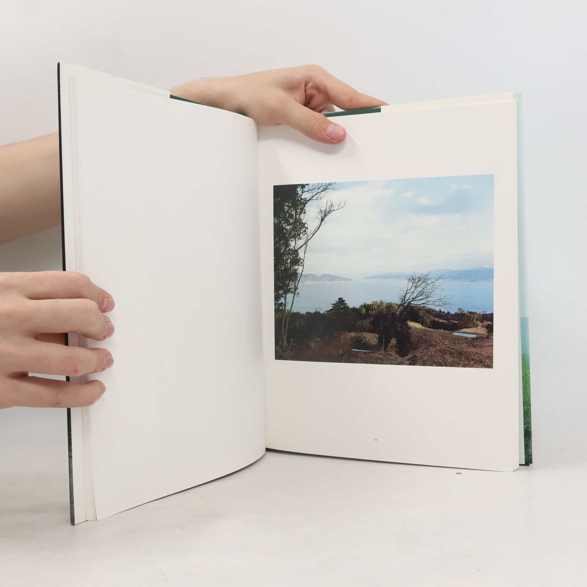 Thomas Struth Still
