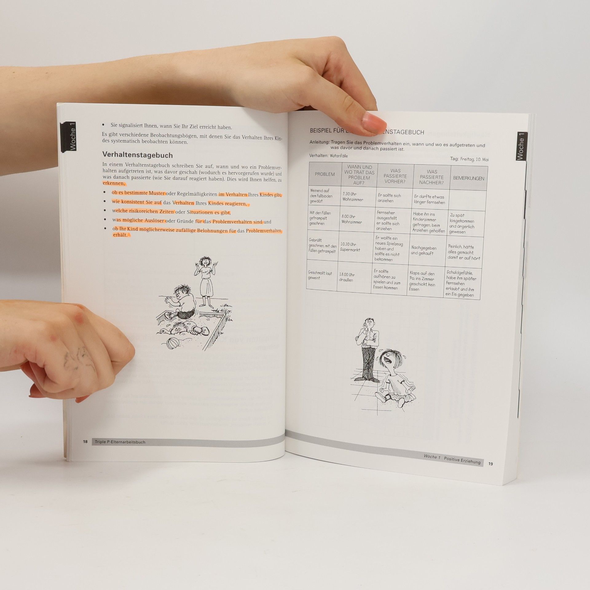 Carol Markie-Dadds Das Triple P Elternarbeitsbuch