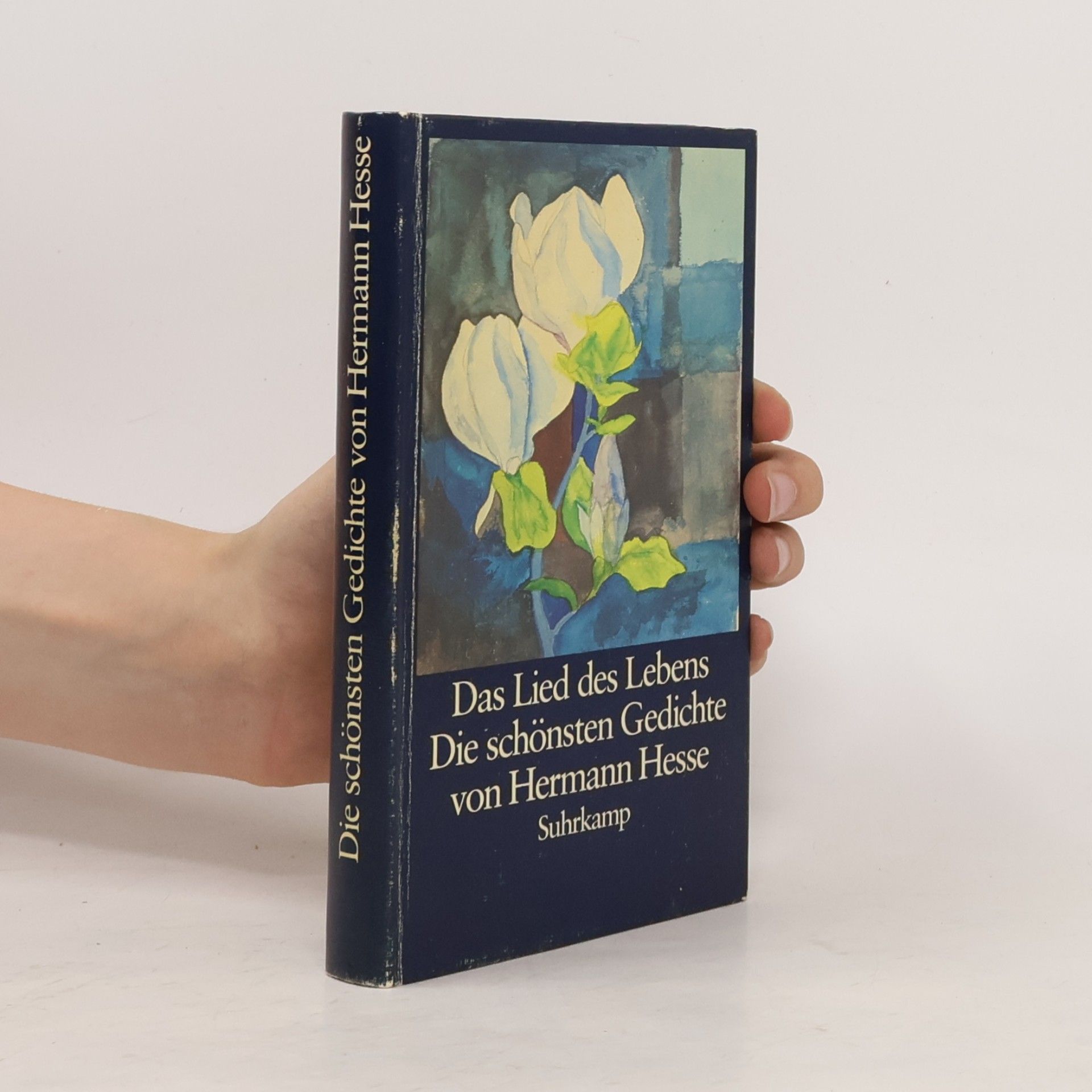Hermann Hesse Das Lied des Lebens. Die schönsten Gedichte von Hermann Hesse