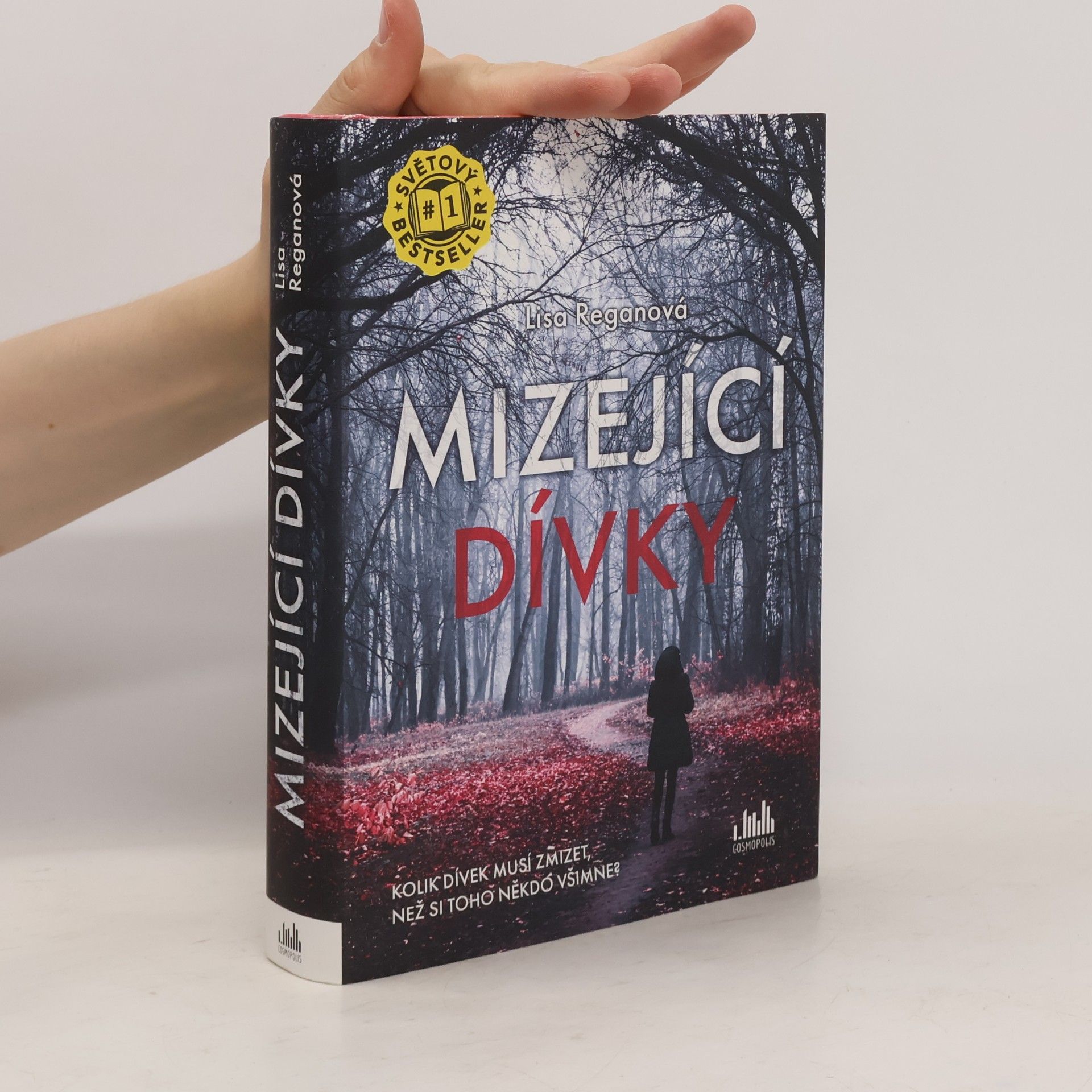 Lisa Regan Mizející dívky