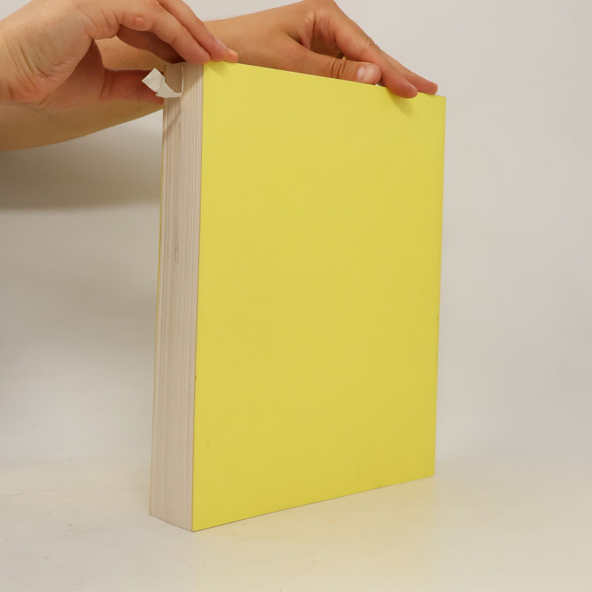 Autorenkollektiv Kunst der Schale