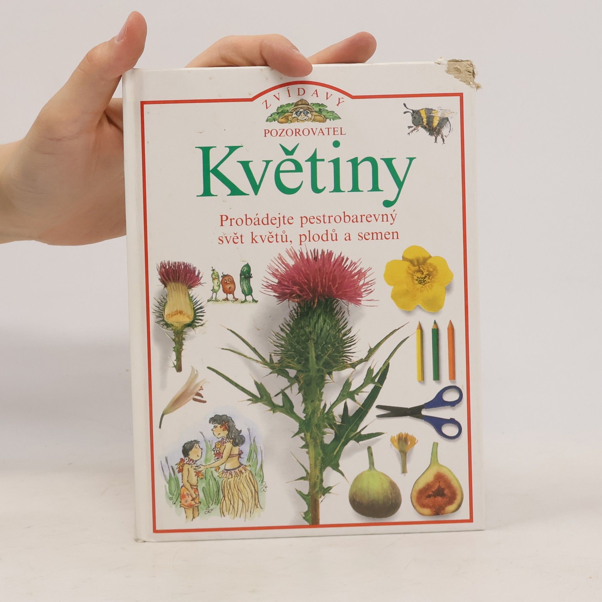 David Burnie Květiny