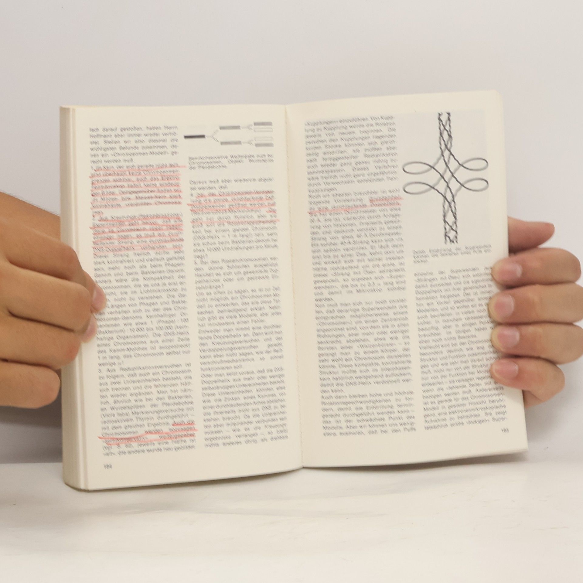 Hans Joachim Bogen Knaurs Buch der modernen Biologie
