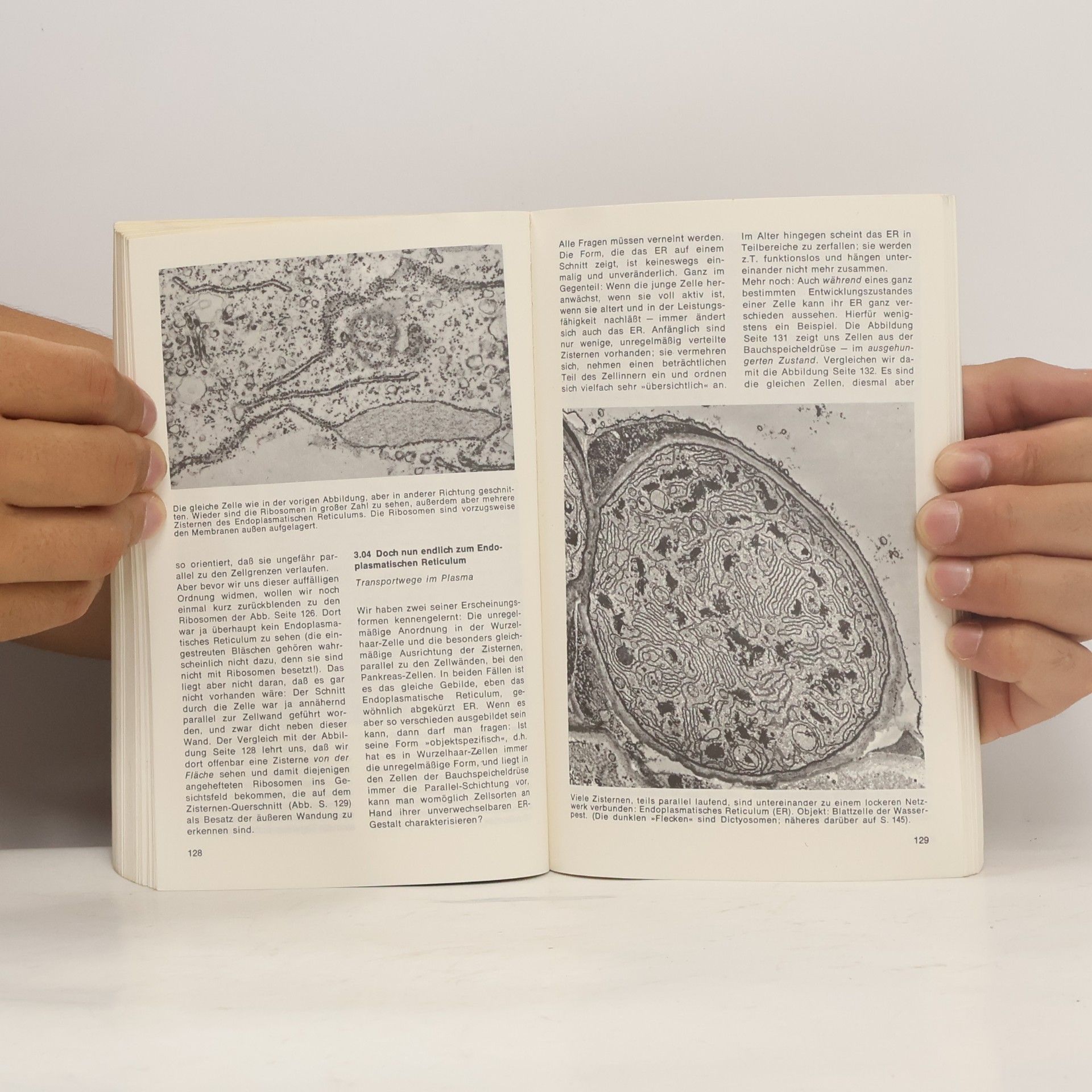 Hans Joachim Bogen Knaurs Buch der modernen Biologie