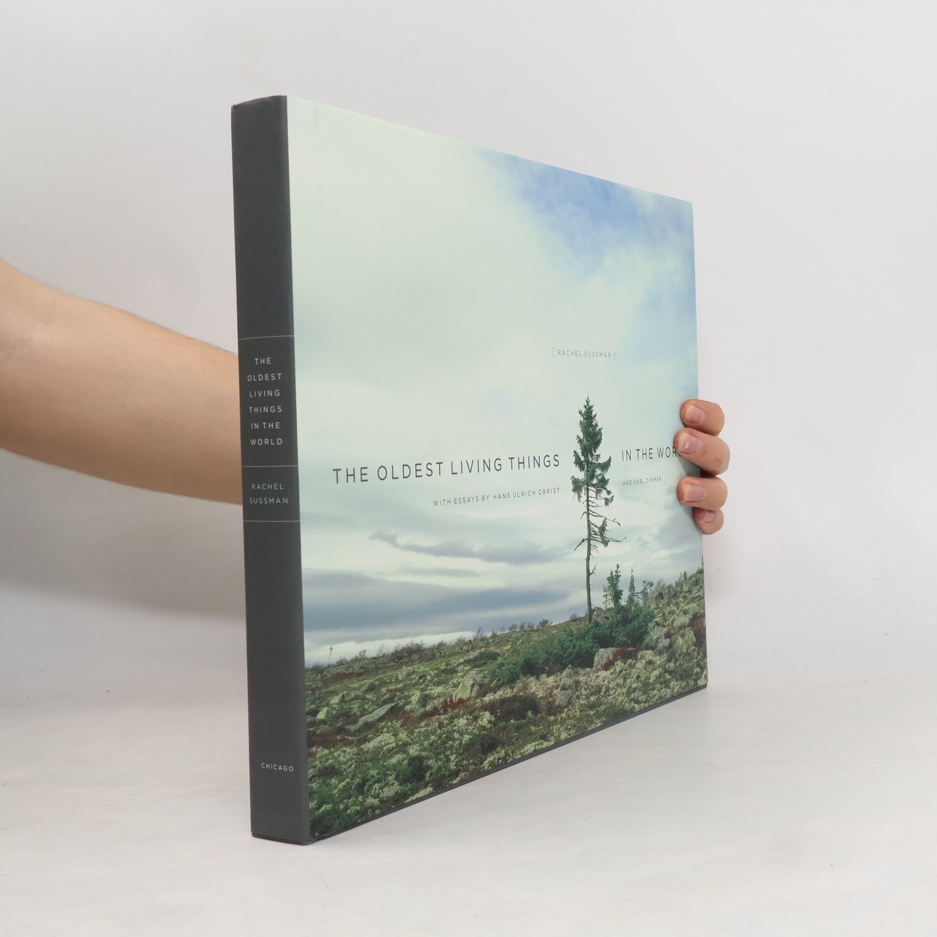 Rachel A. Sussman The Oldest Living Things in the World